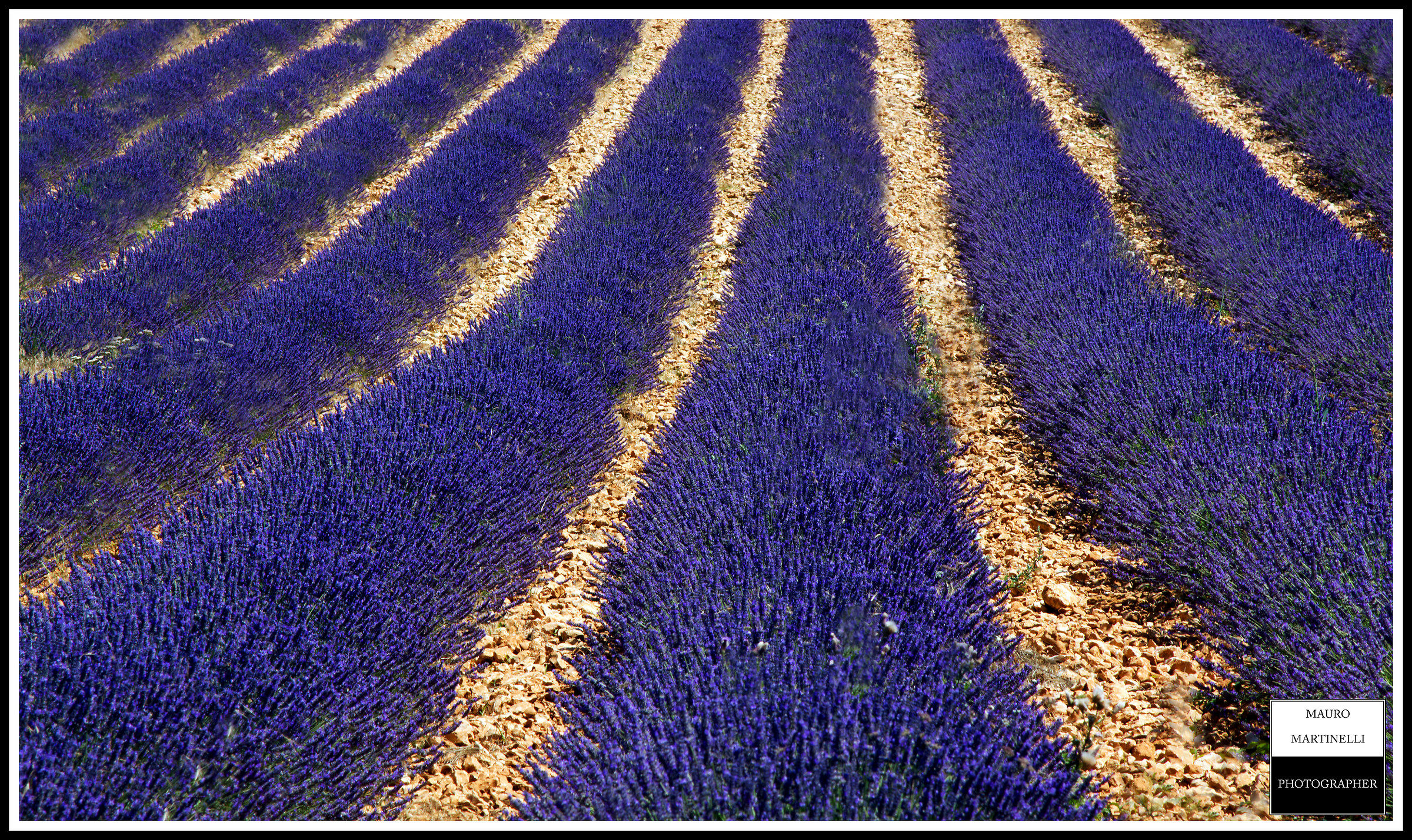 Côte d'Azur (France), Valensole