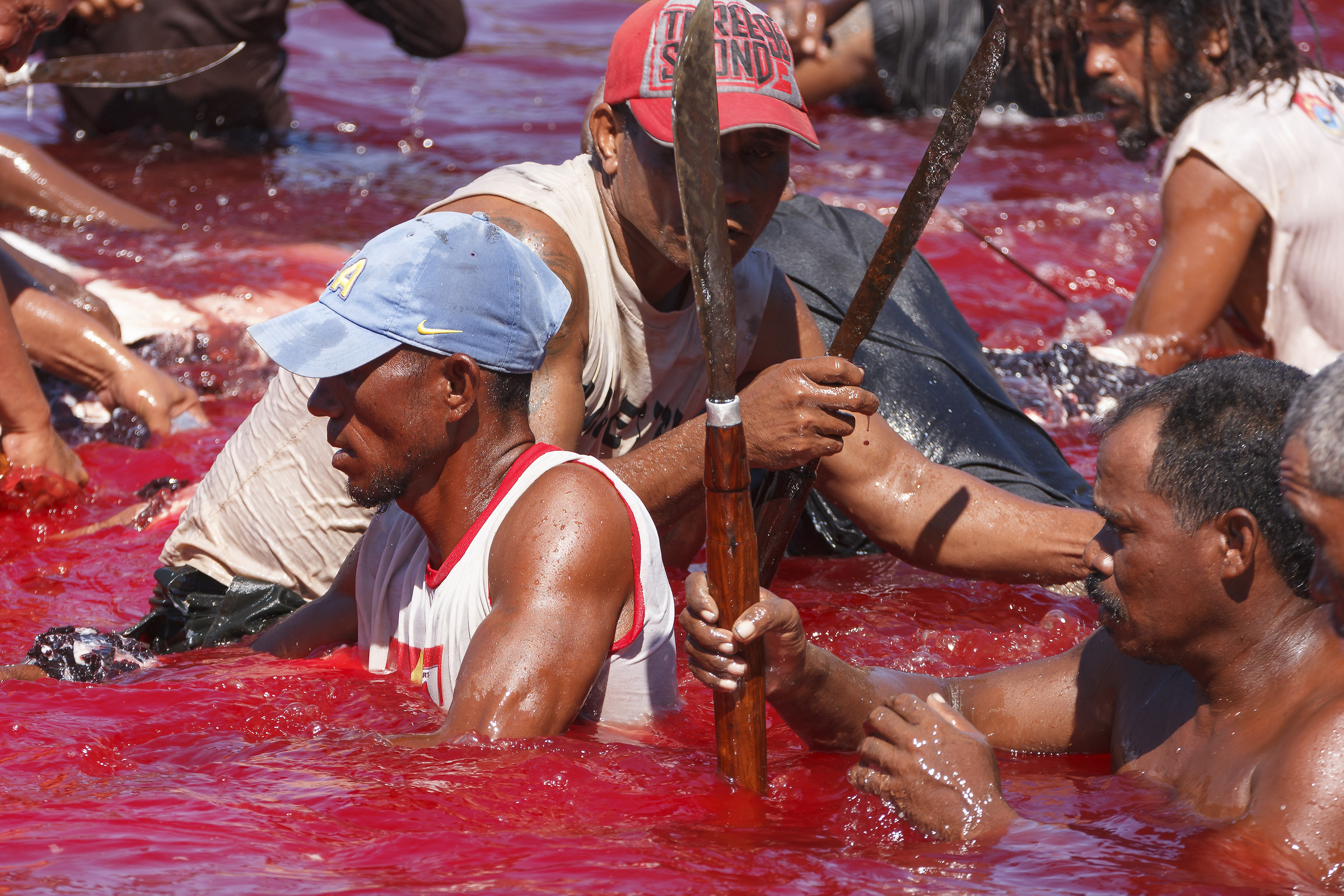 Indonesia.Lembata.Villaggio pescatori di Lamalera.
