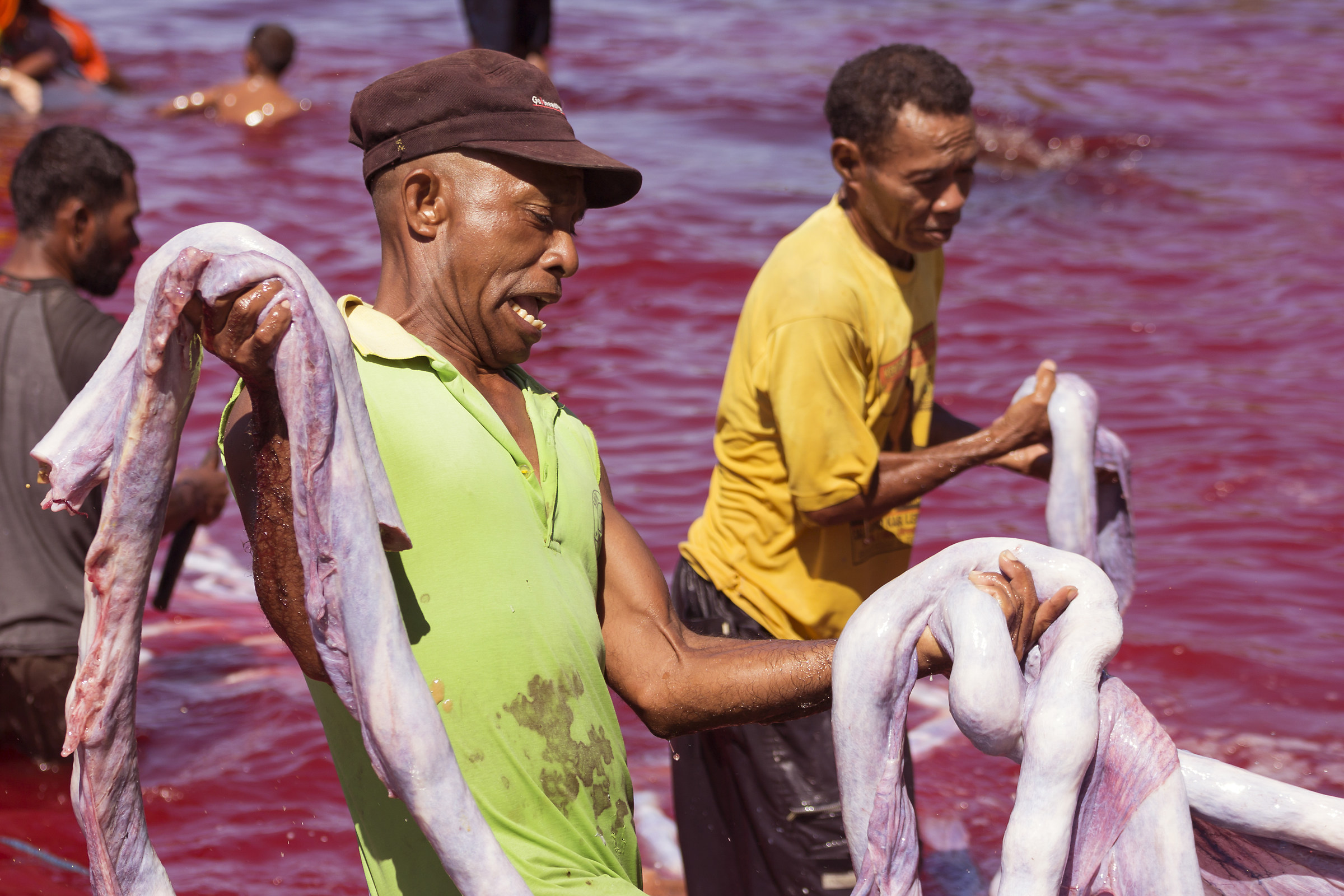 Indonesia.Lembata.Villaggio pescatori di Lamalera.