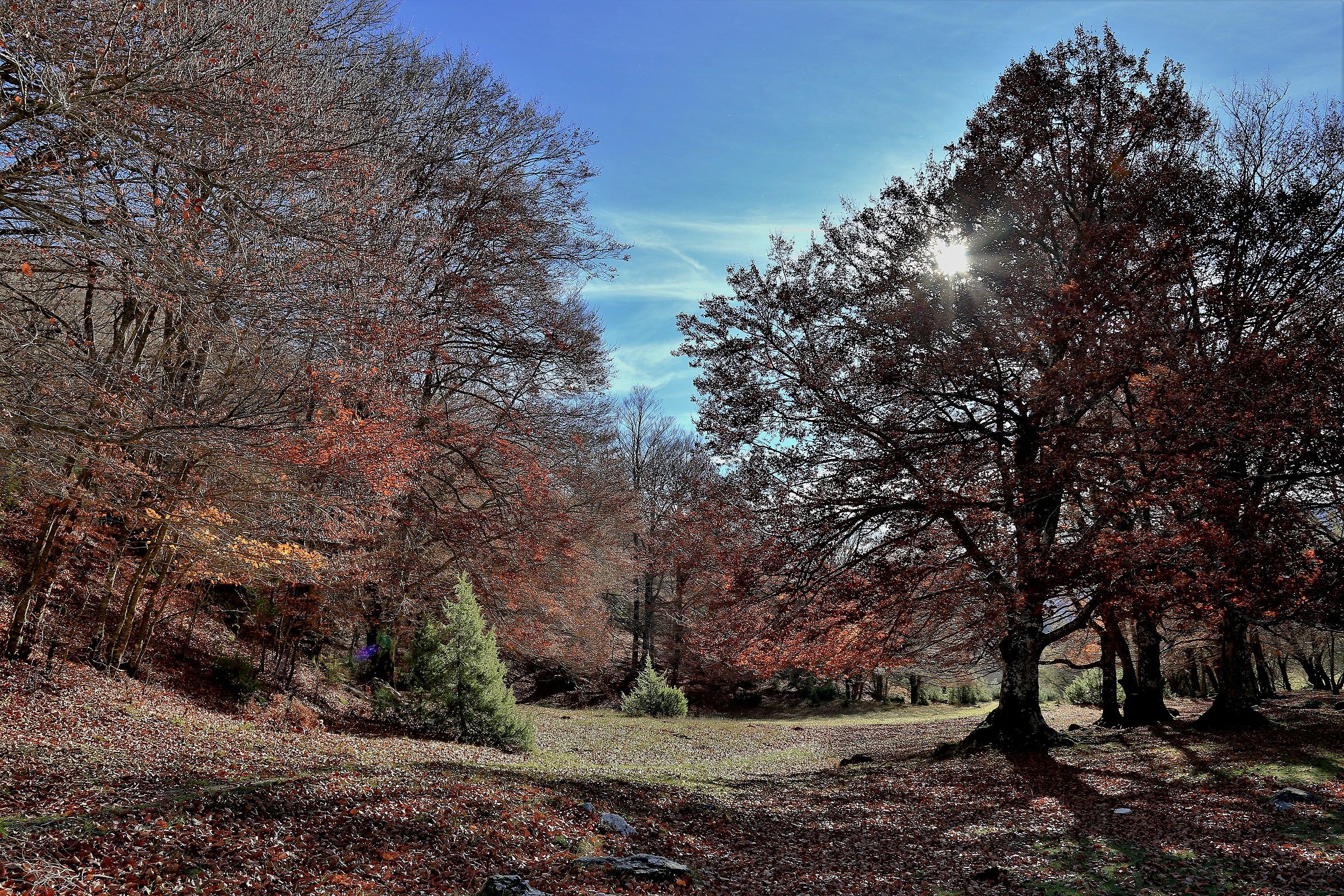 Parco nazionale pnalm