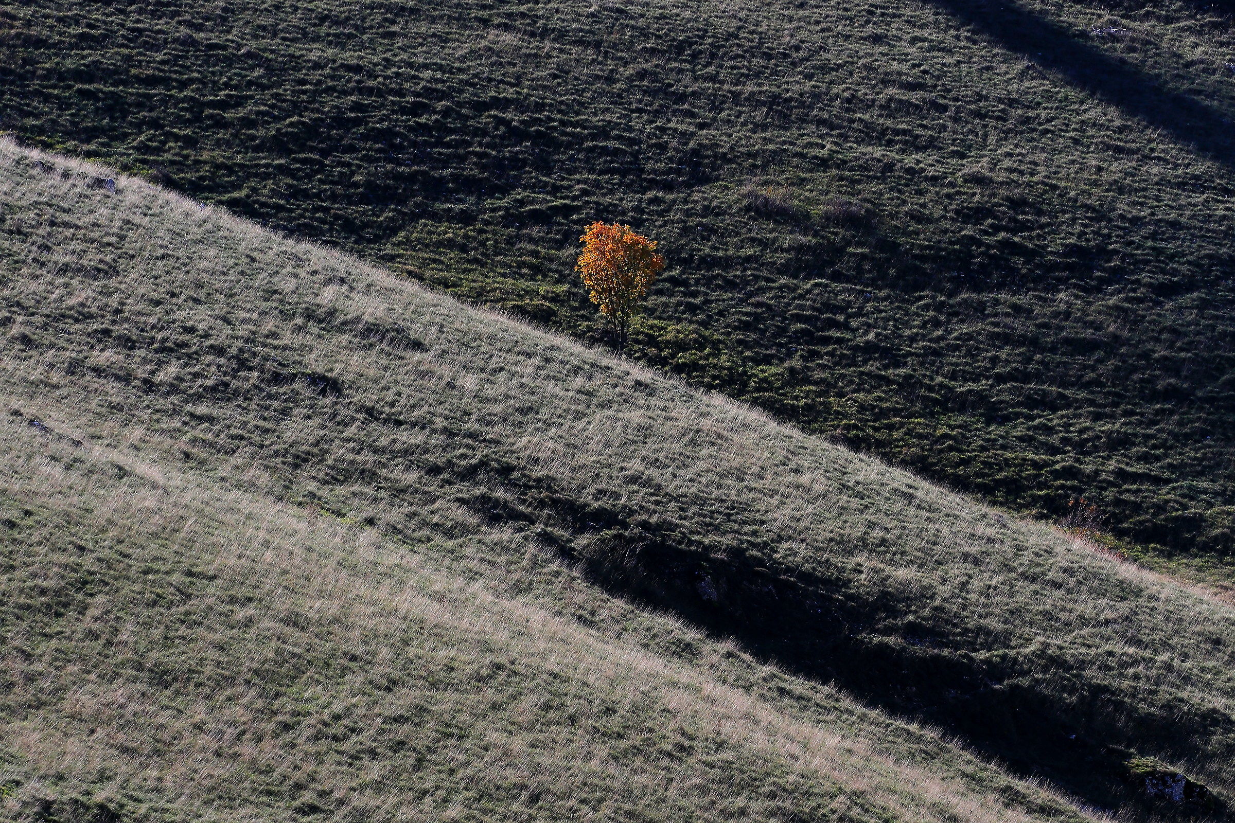 Parco nazionale pnalm