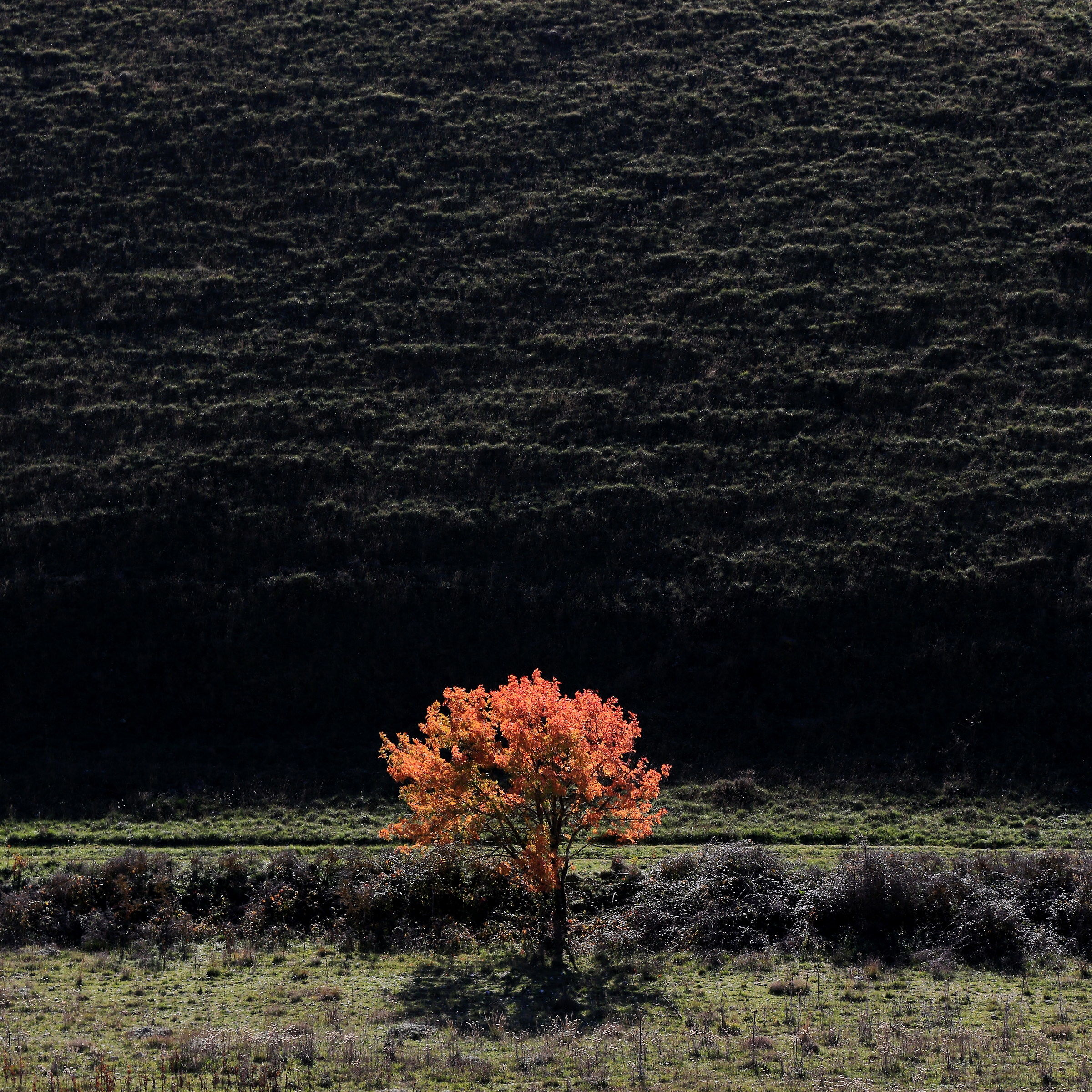 Parco nazionale pnalm