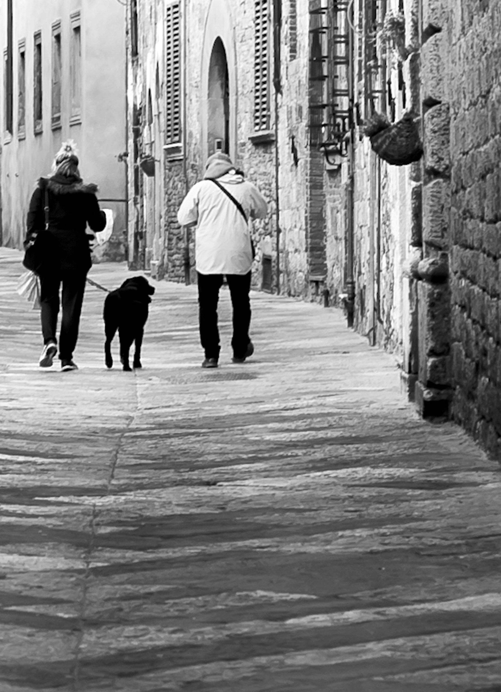 A spasso con l'amico fido,,