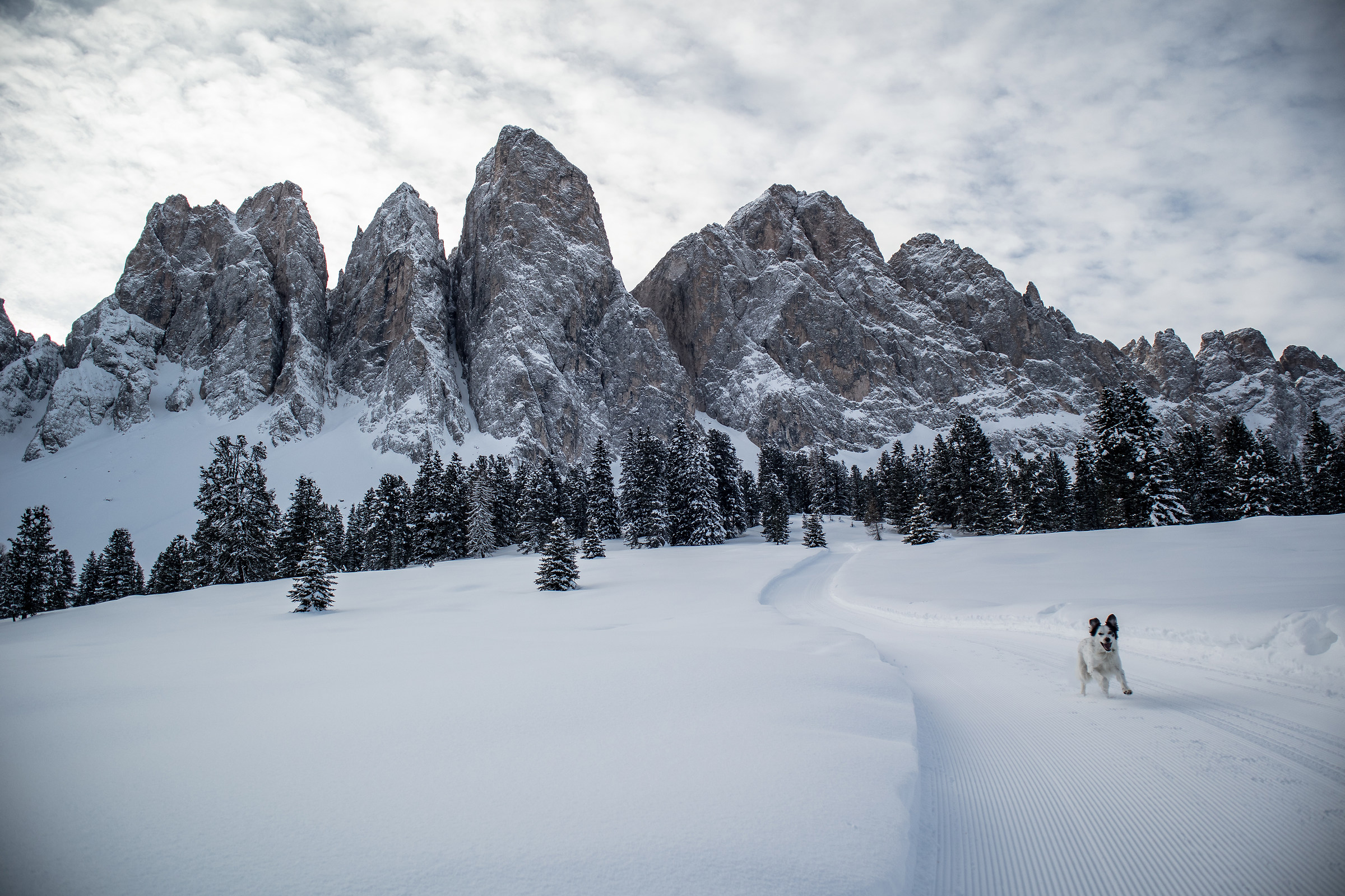 Giotto a Puez Geisler Nature Park