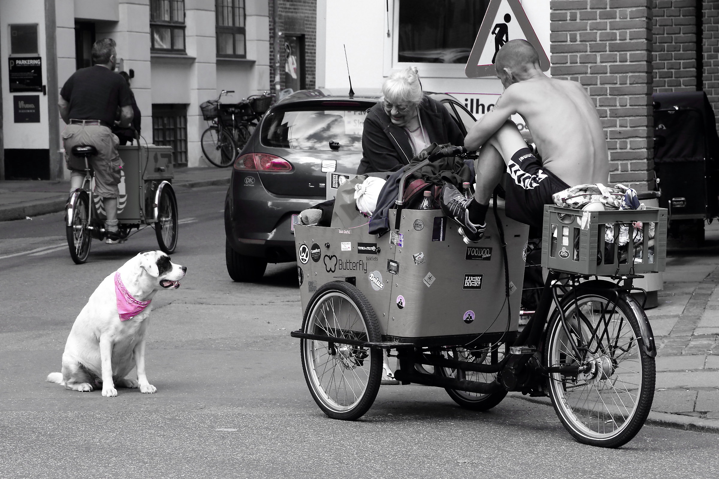 Willy and his dog are going around the world