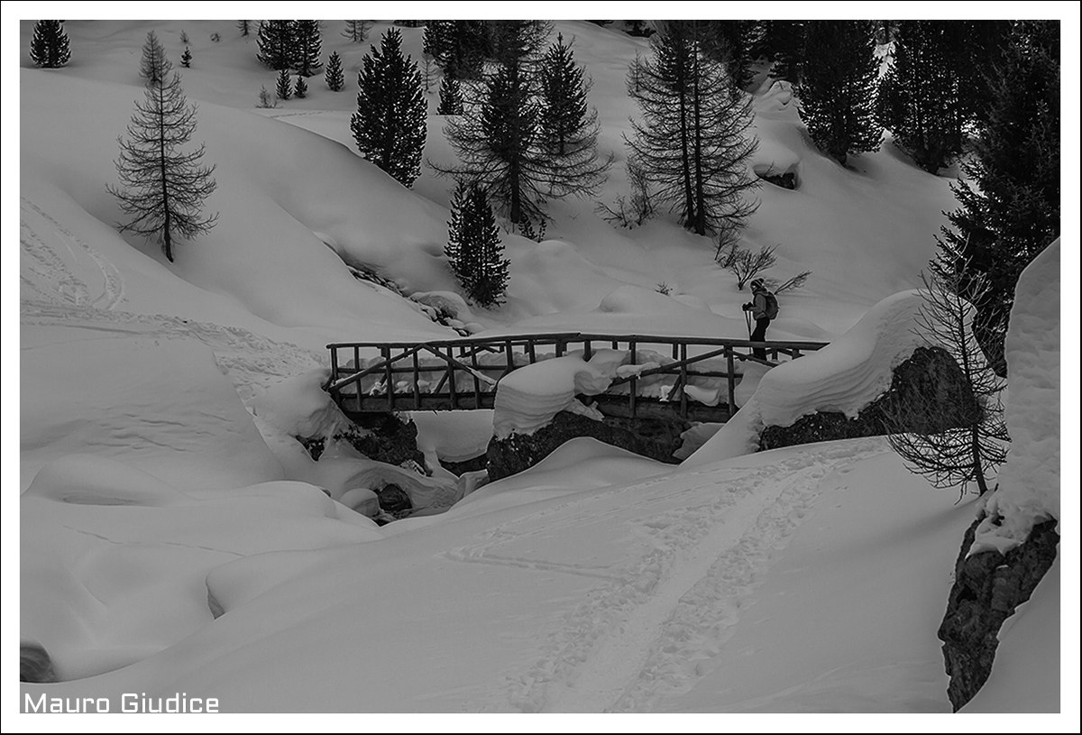 Ciaspole in Val Viola