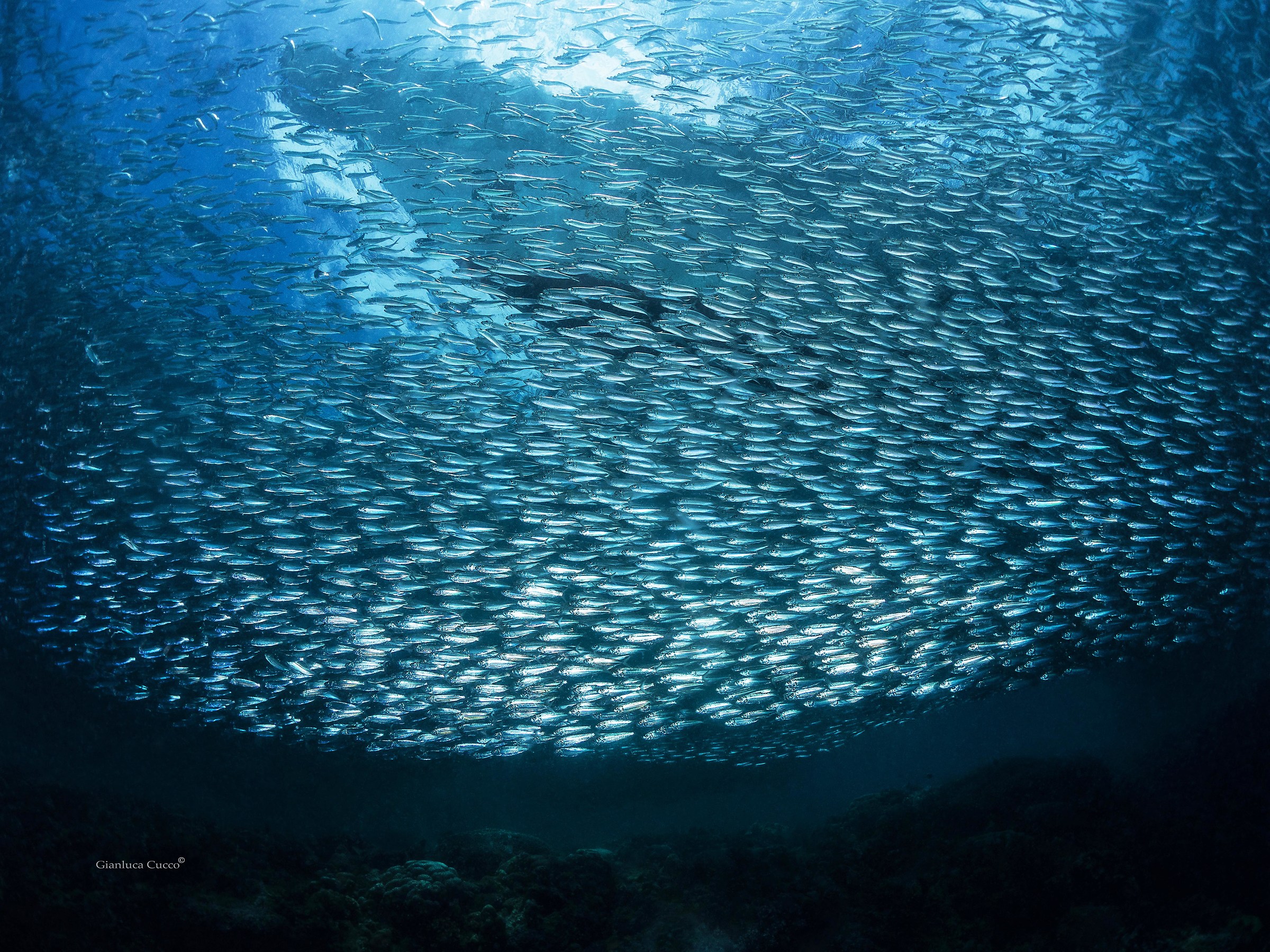 Under the boat the Sardinian campa