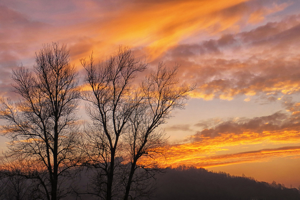 alba alto monferrato