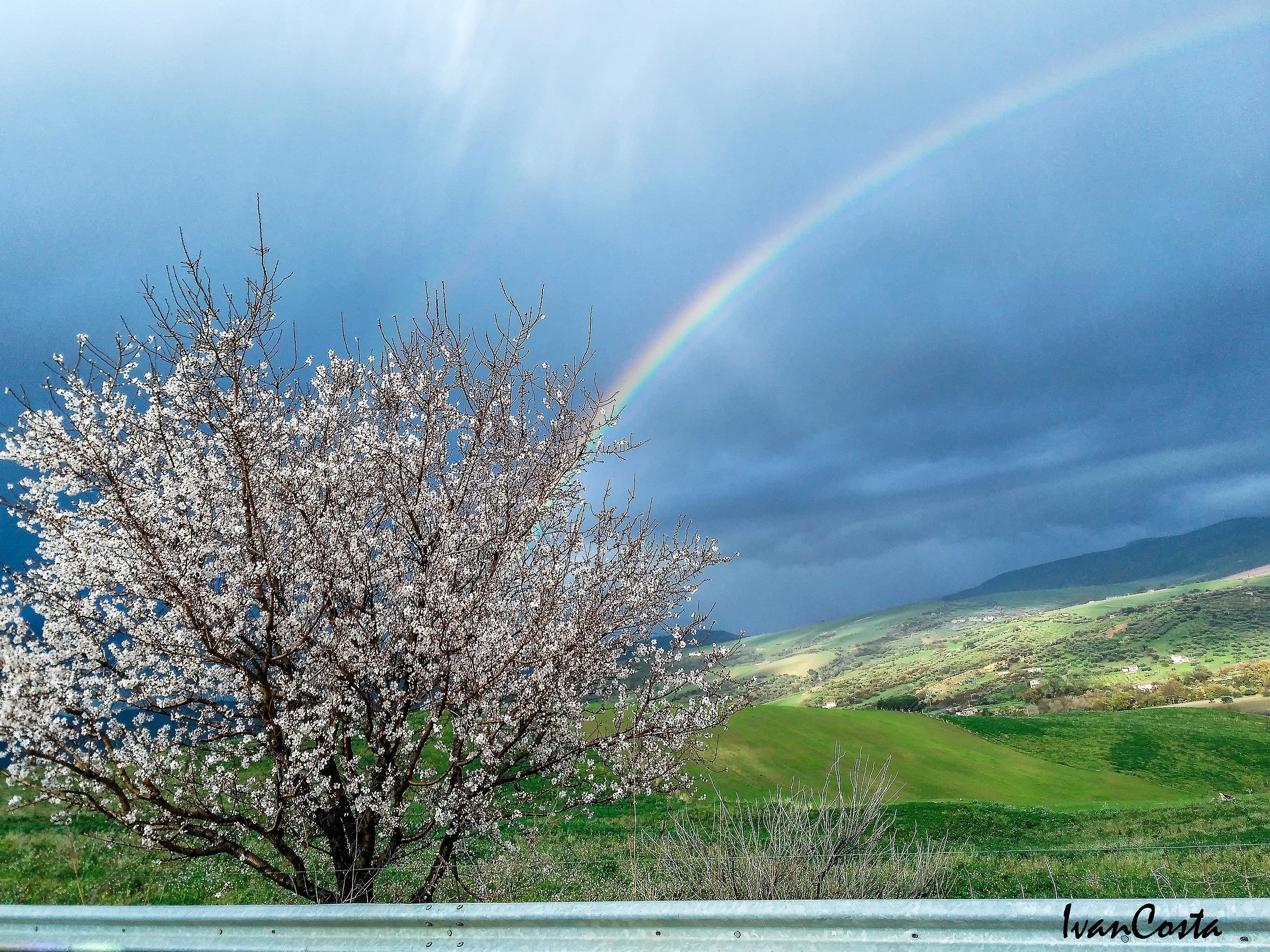 Quando vorresti la tua Reflex e non ce l'hai...