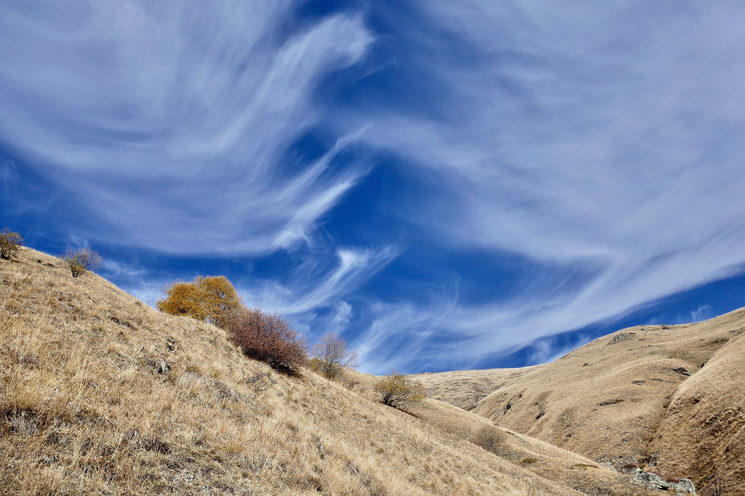 Cirri sul Vallone dell'Arma