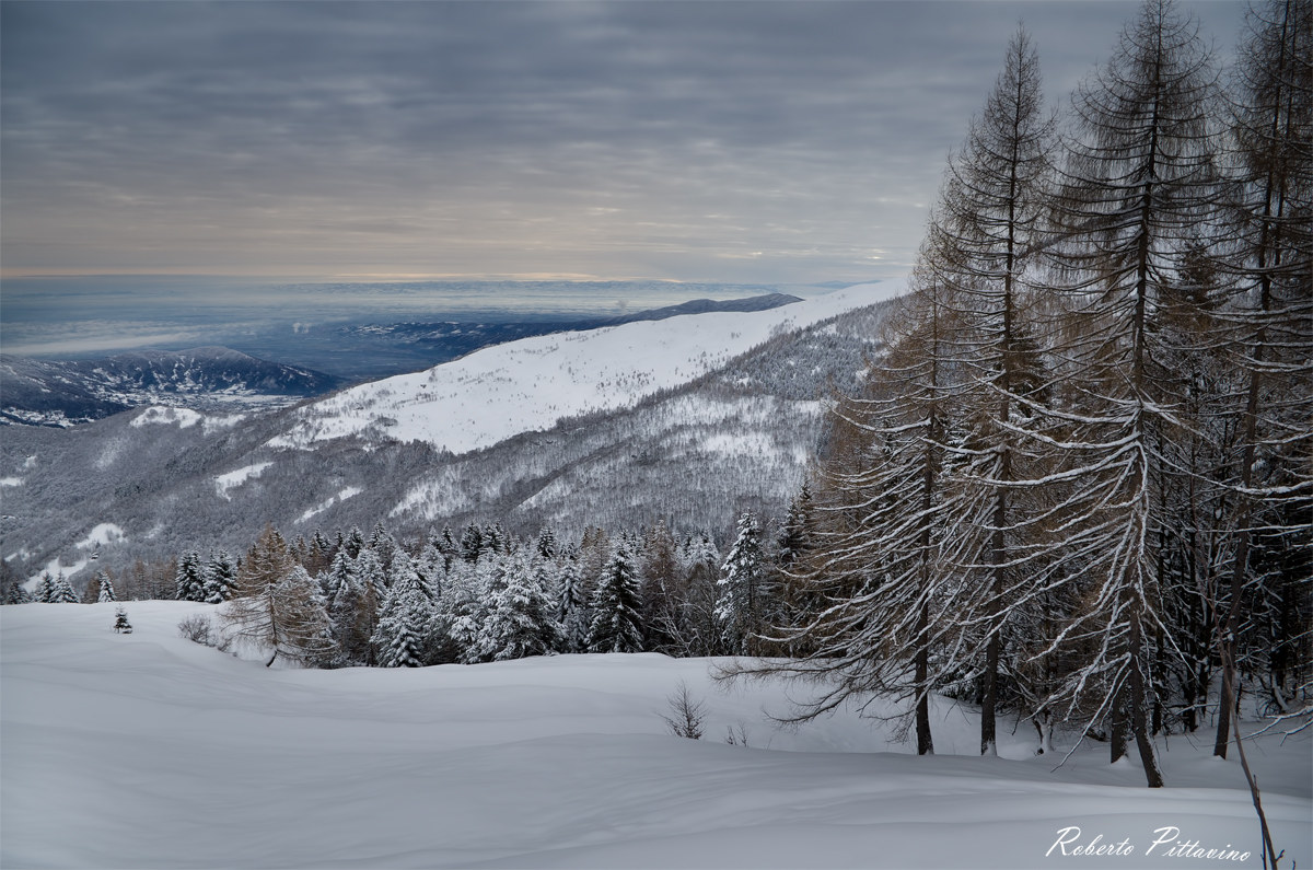 The silence of winter