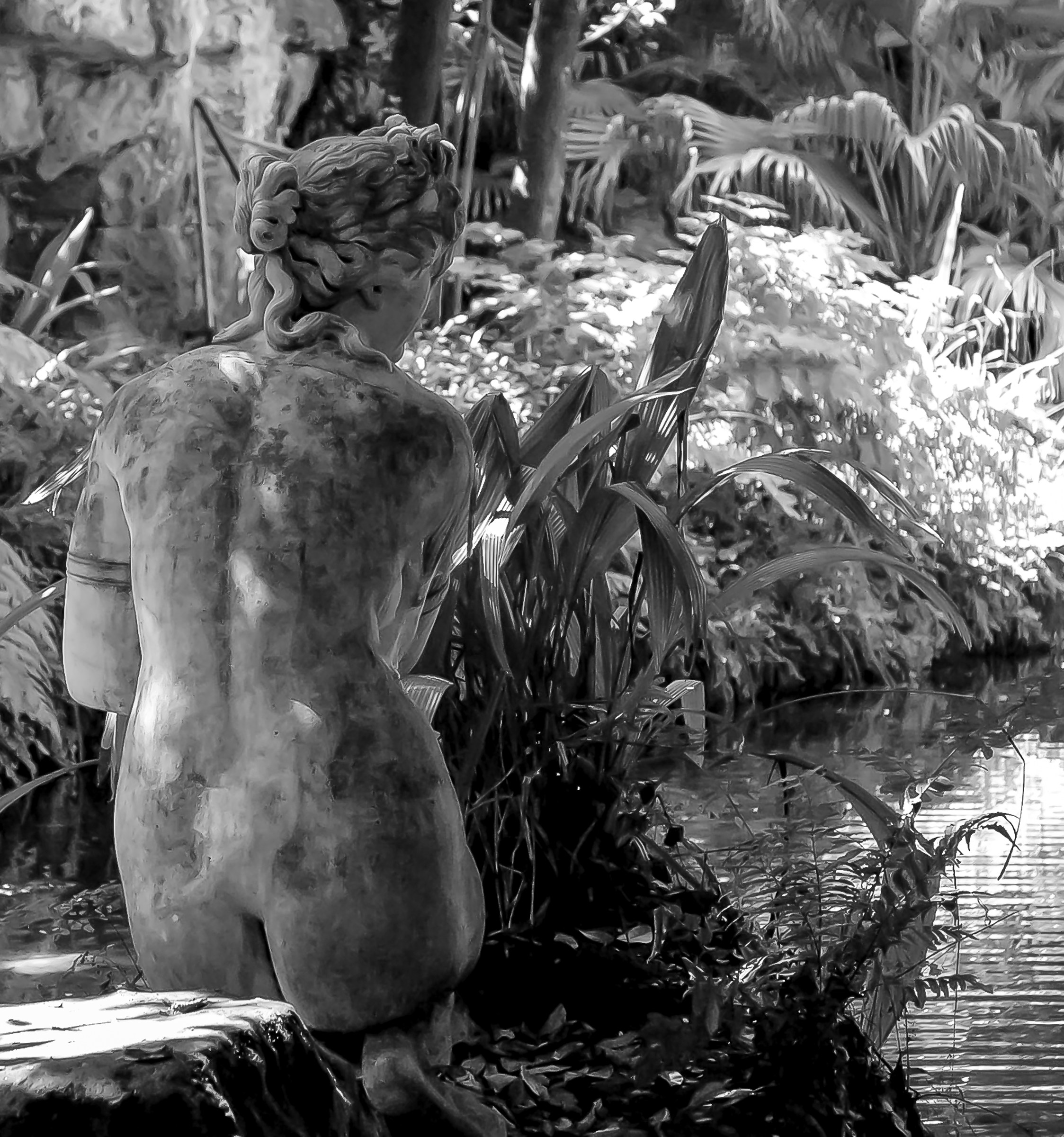 Venus taking a bath.