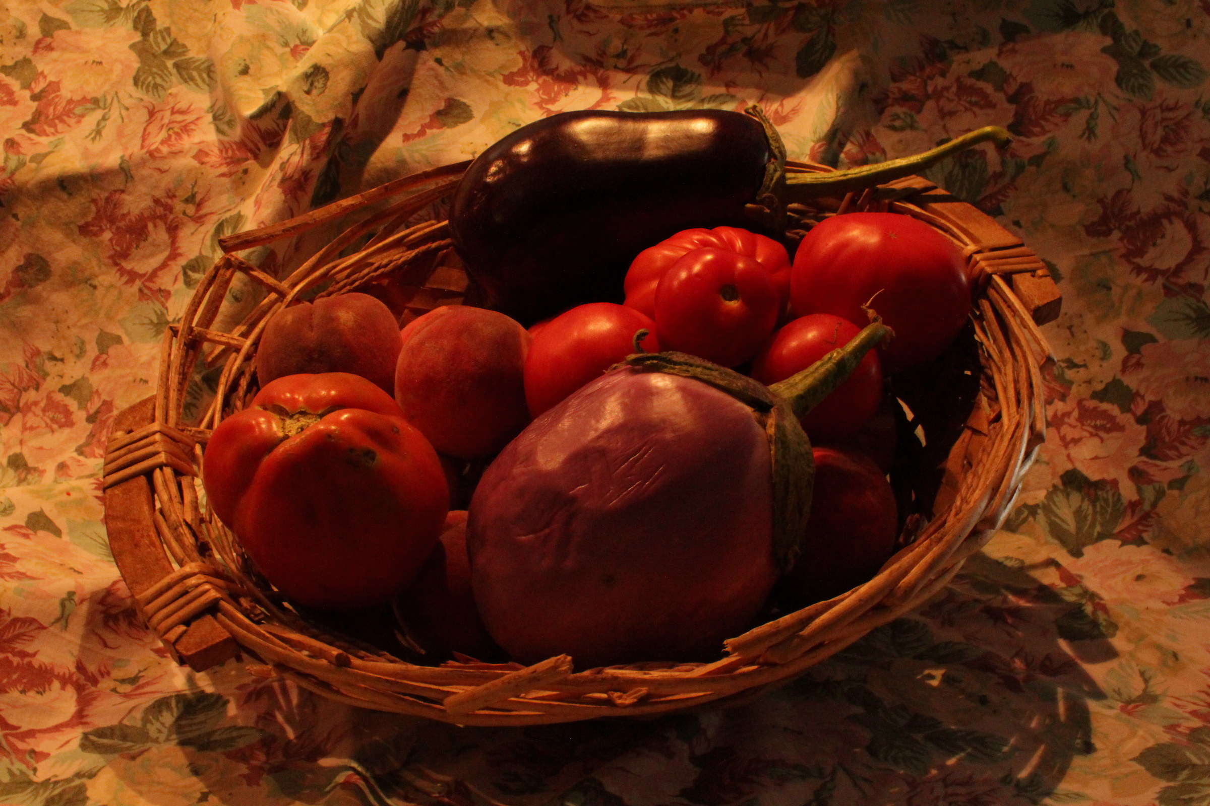 Studio per Natura Morta