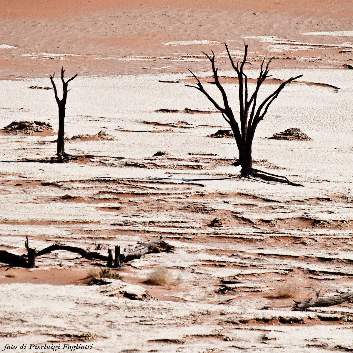 Dead Vlei