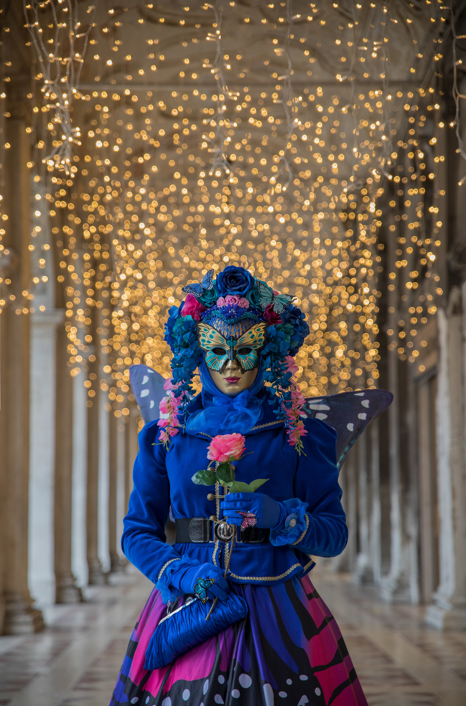 Under a cascade of lights