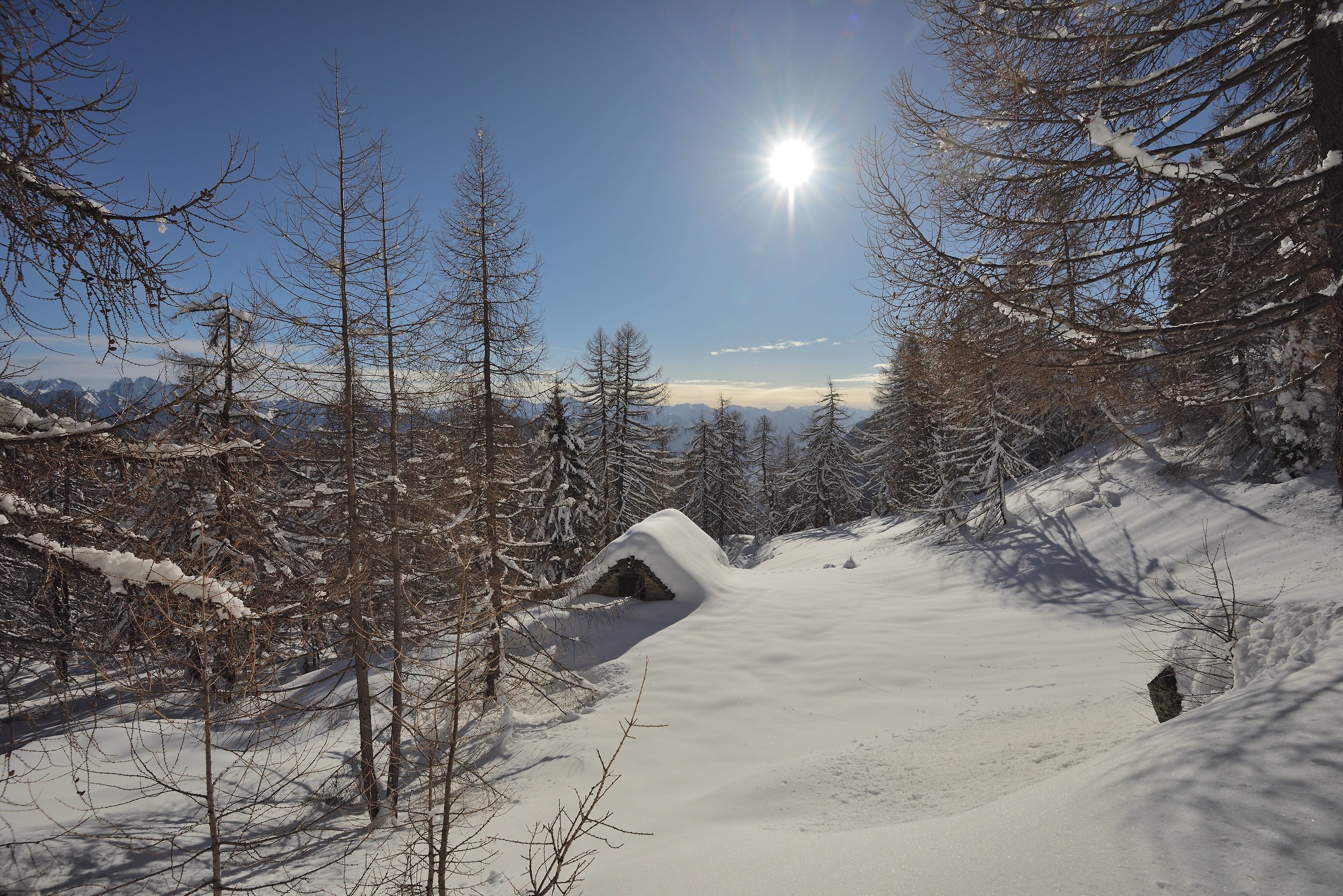 just above the shelter