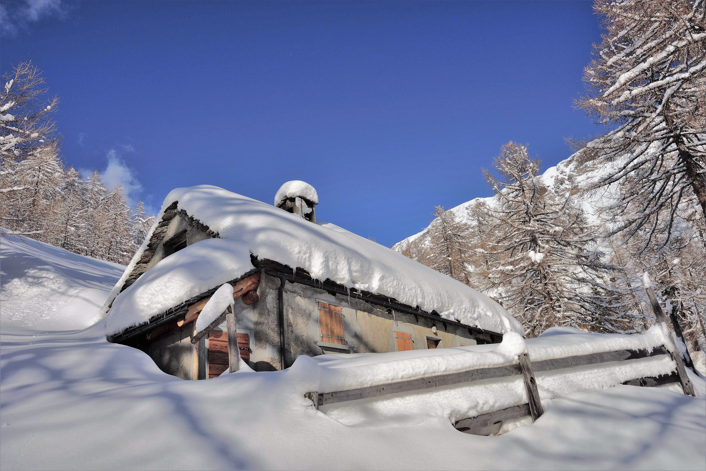 hut just above the shelter