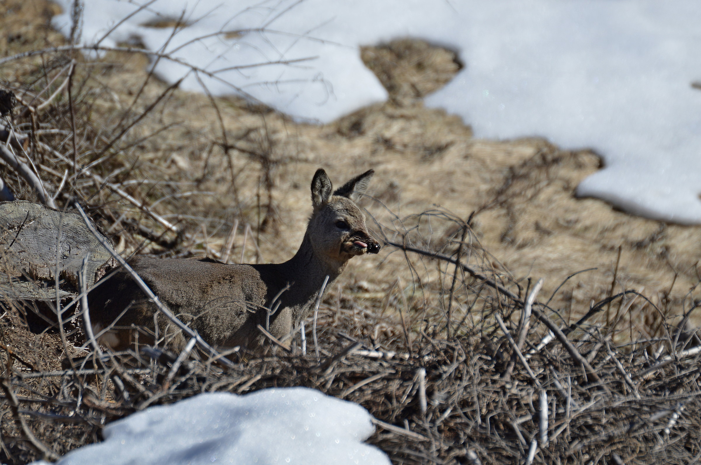 anomalia o incidente? 2