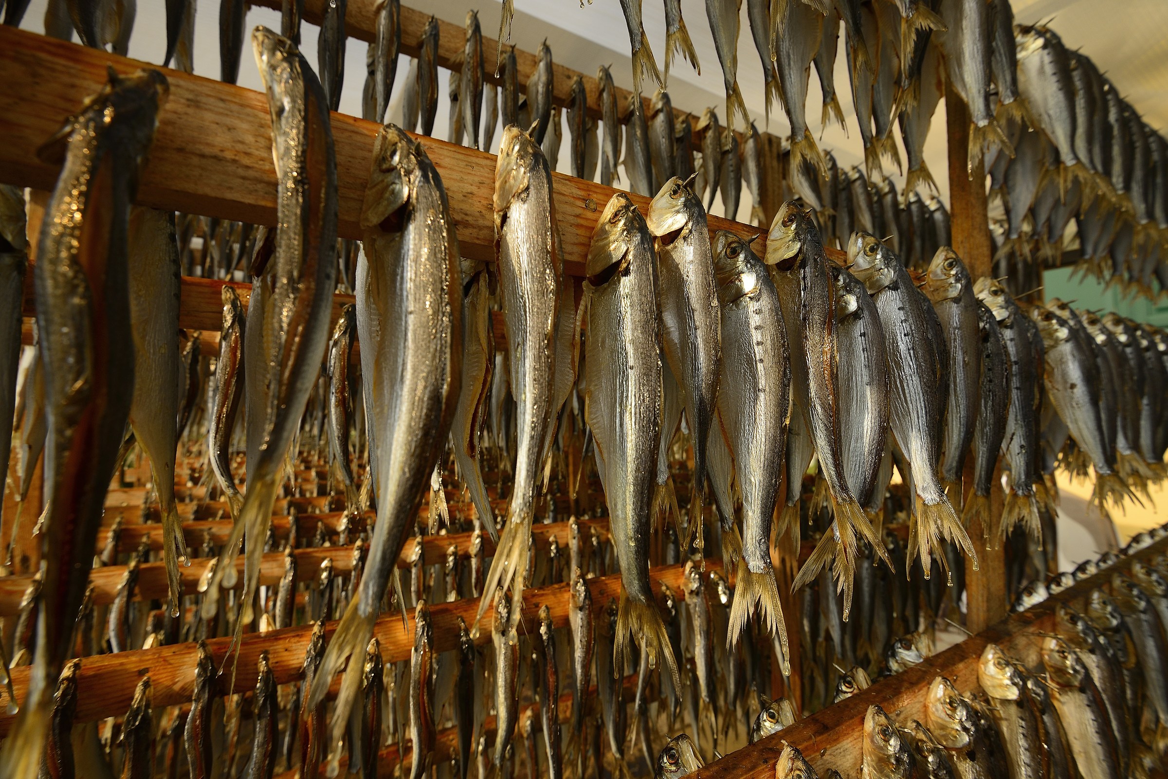 Sarde di Lago (Monteisola)