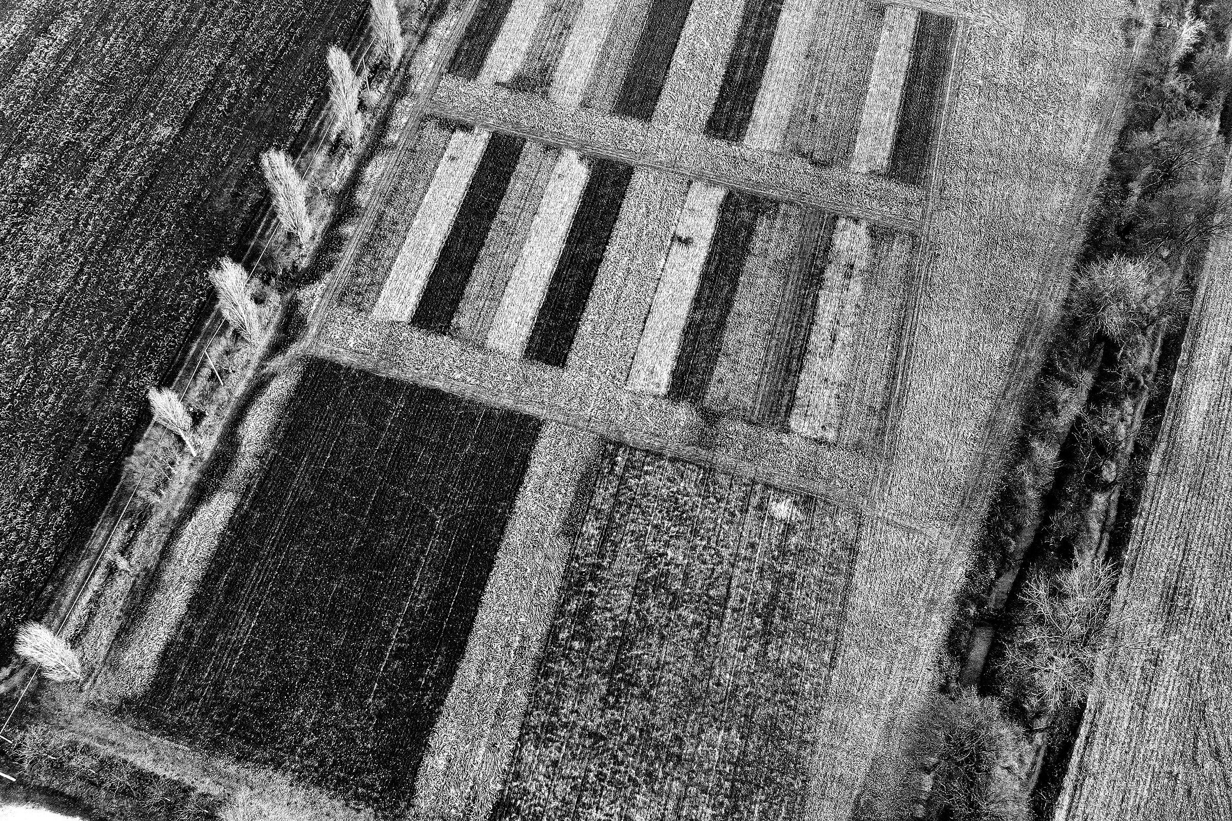 Disegnare con la terra