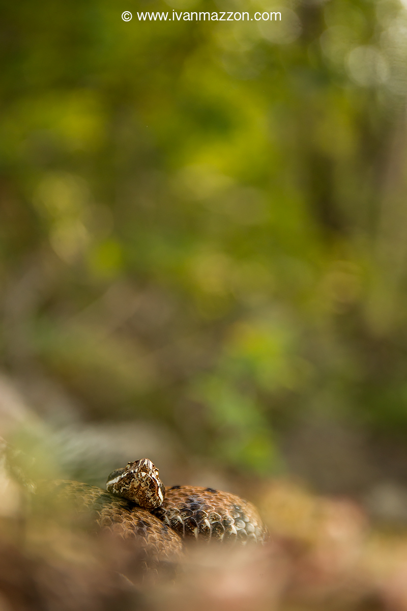 Those looking for find