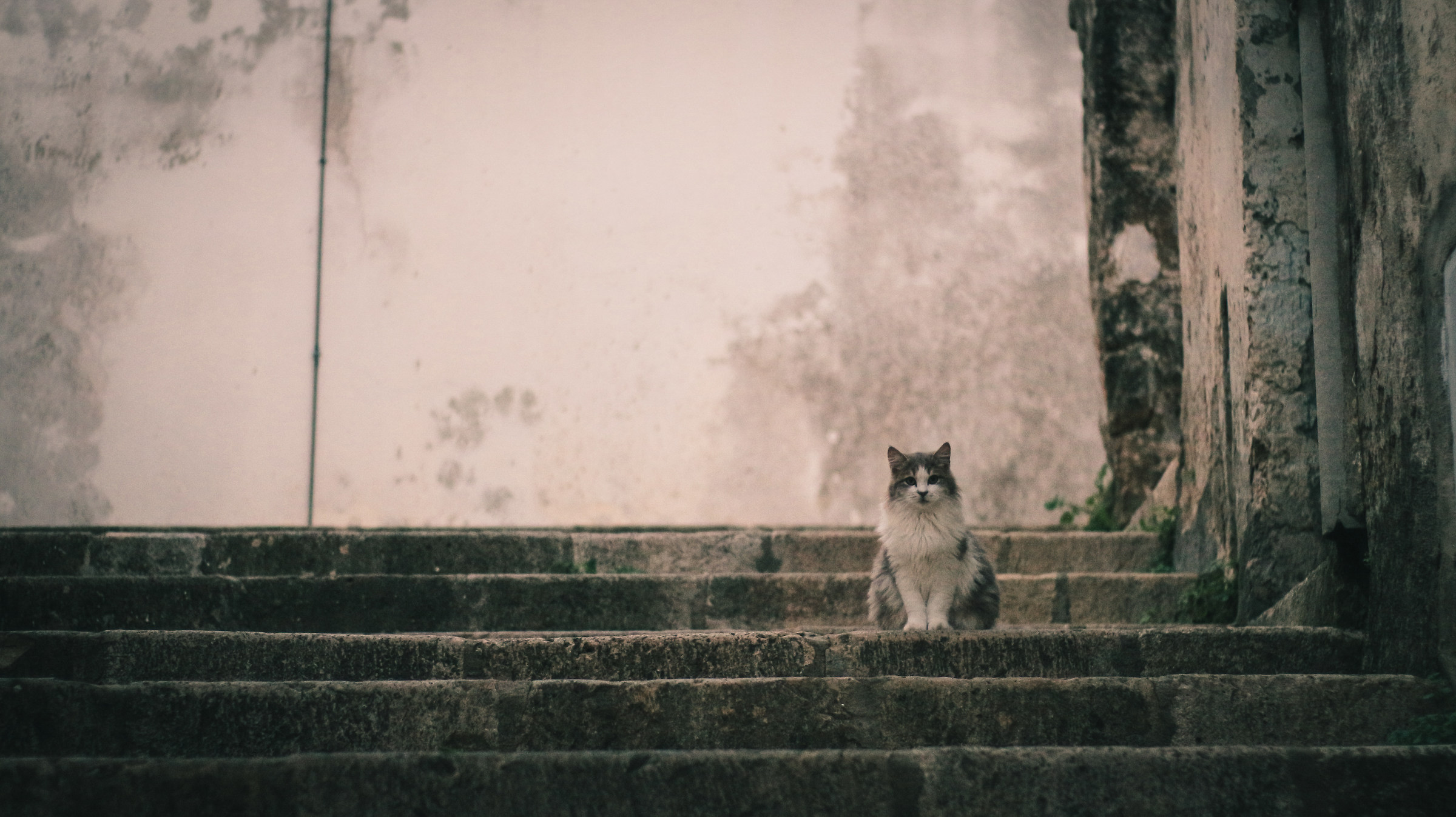 A curious spectator in the audience