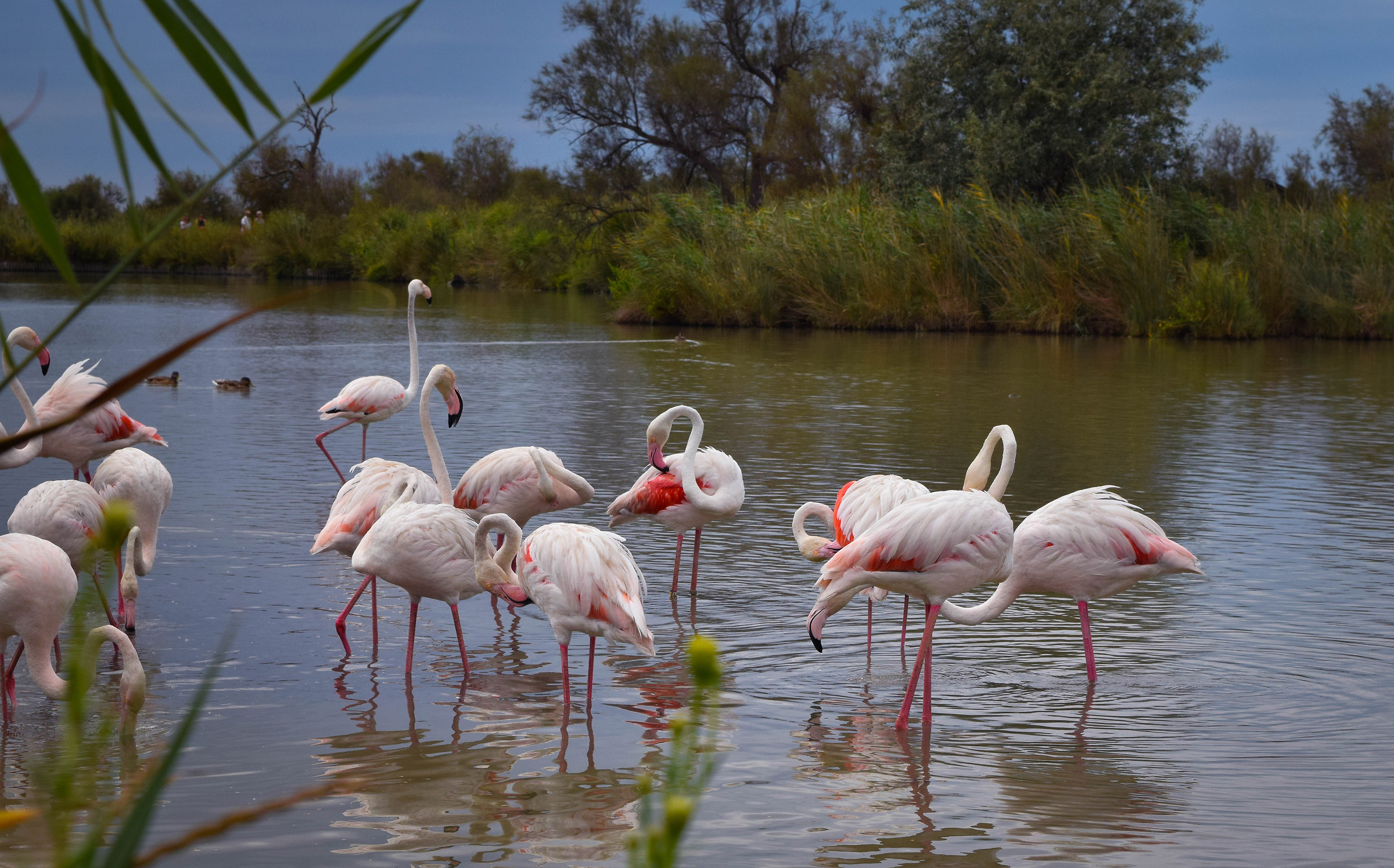 Saintes Marie de la Mer