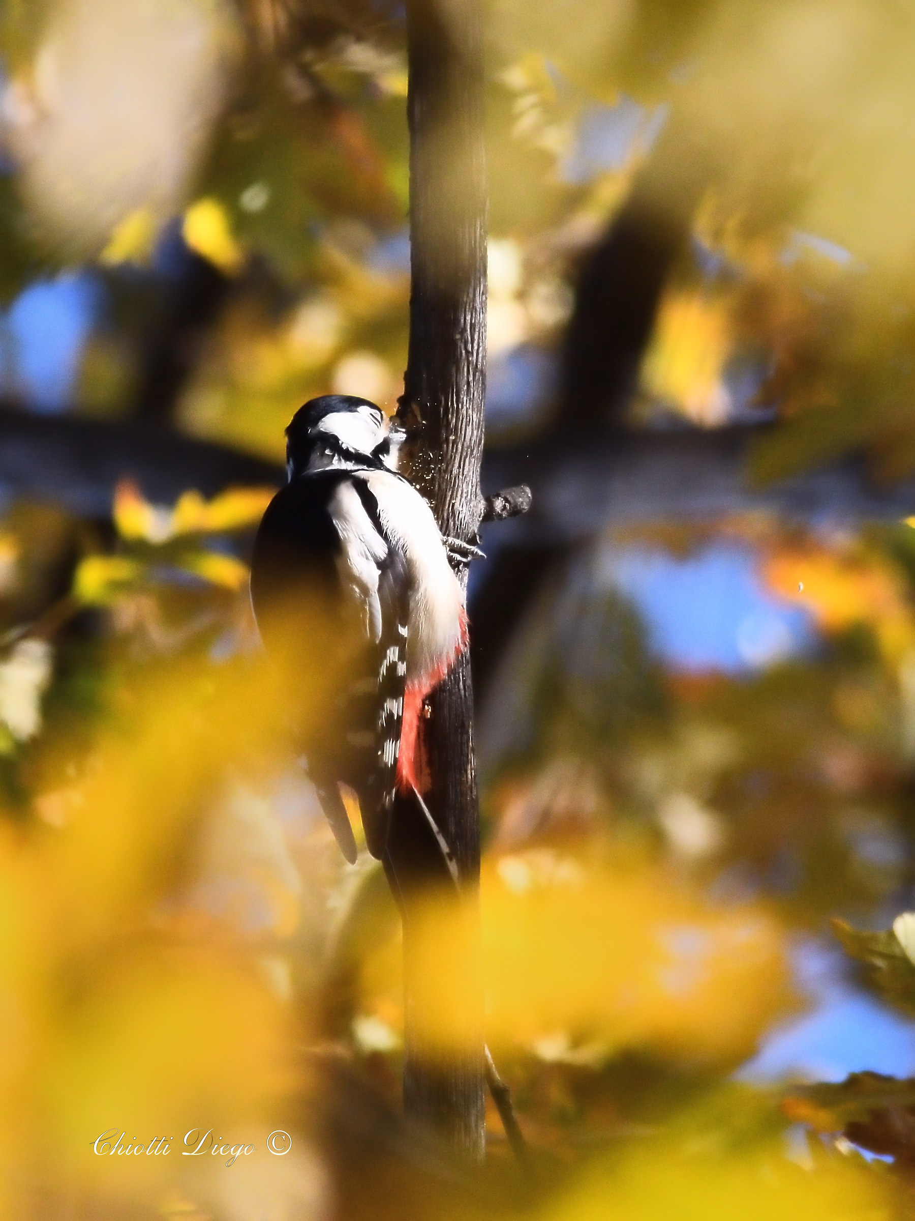 Work in progress (work in progress)