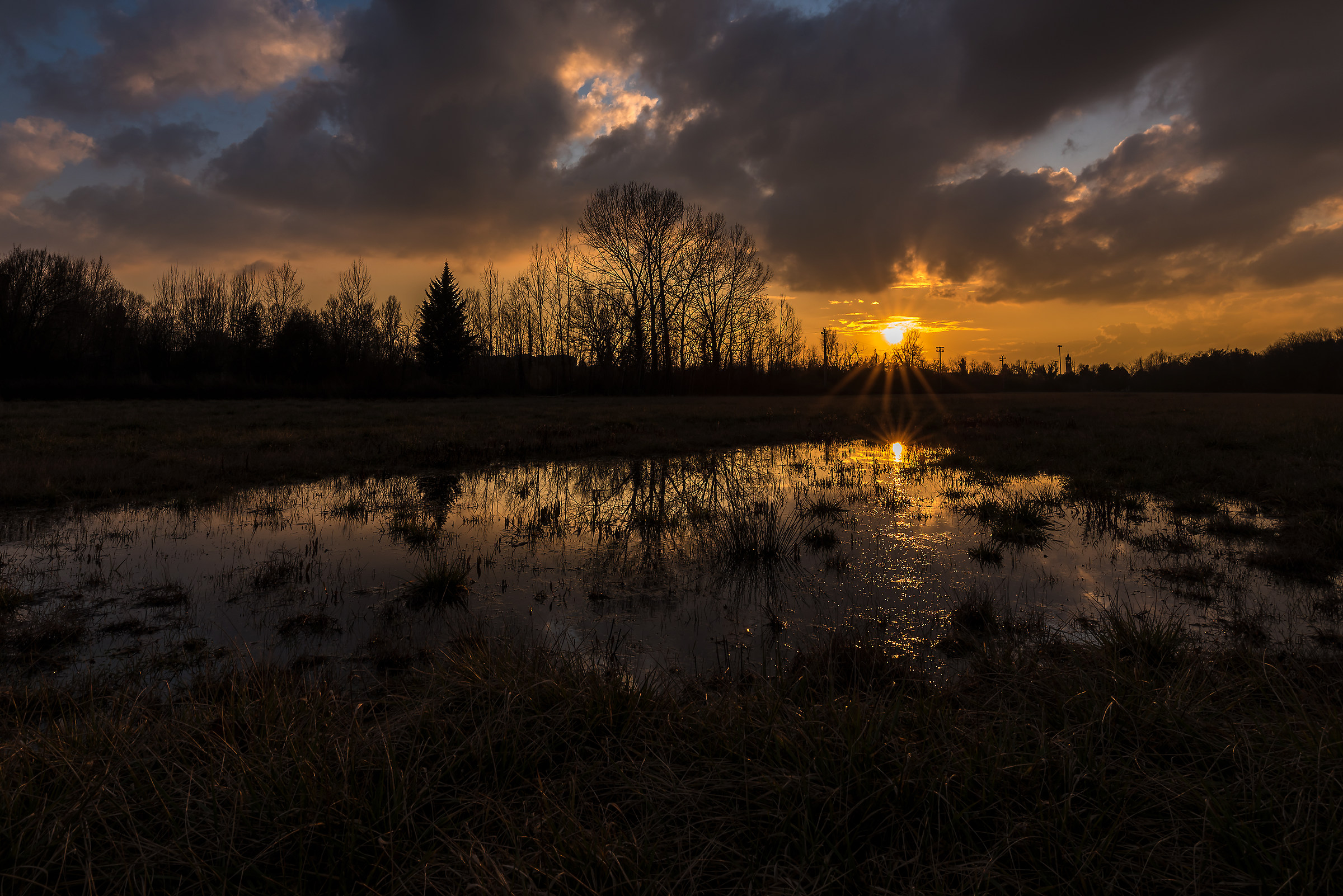 Some shy ray of sunshine