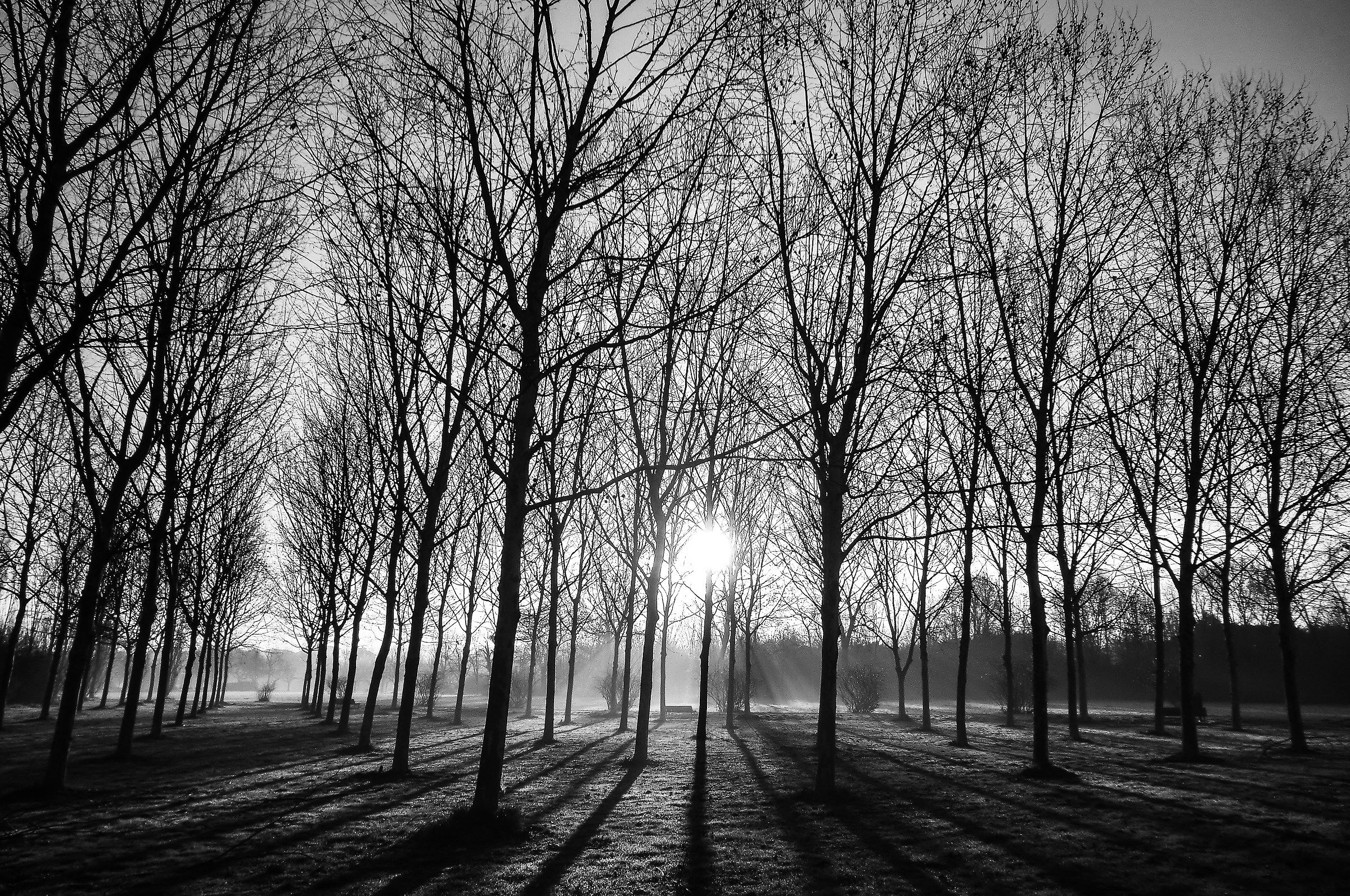 the first lights of the day at the north park