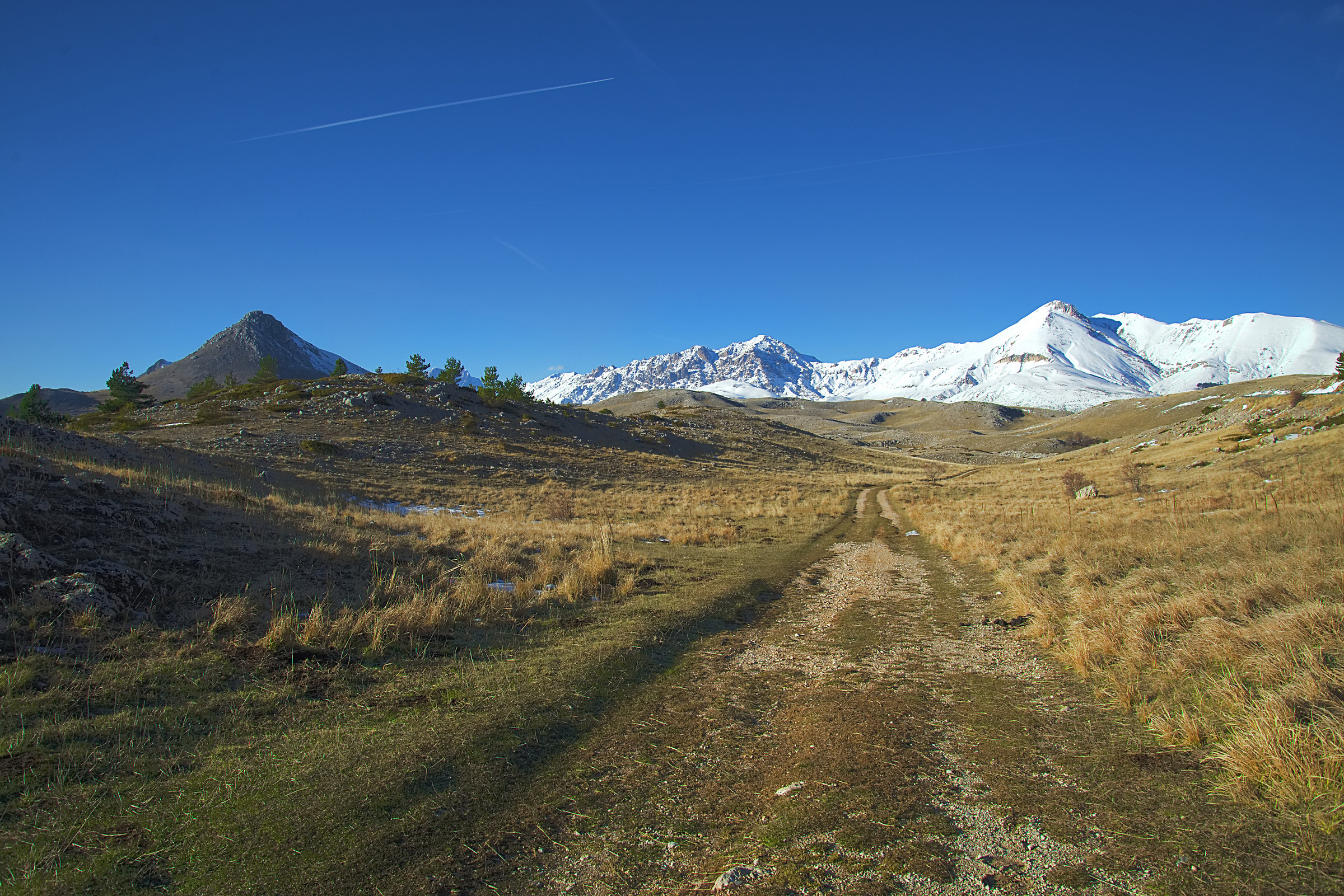 Towards the Prena and the Shirt