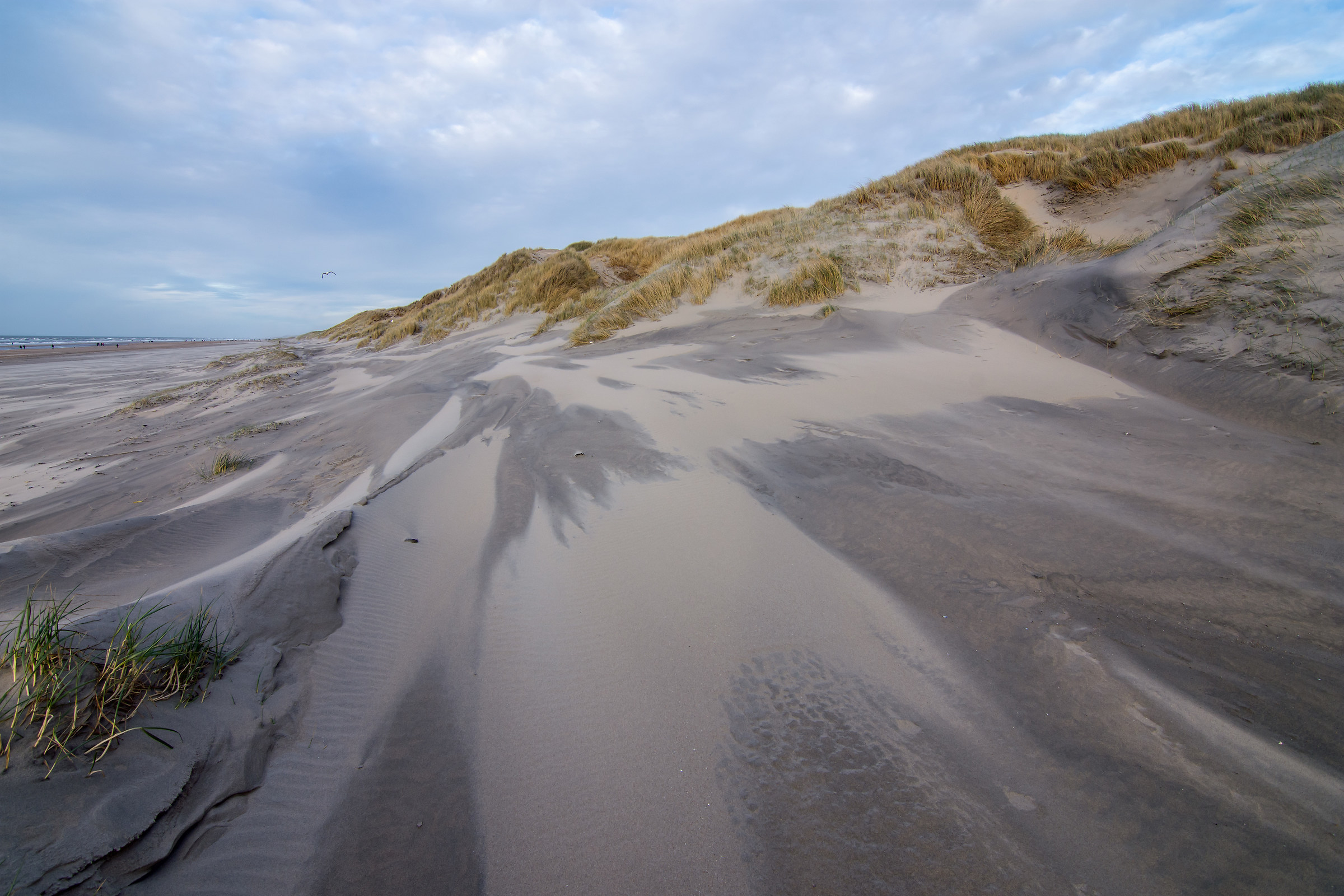 Shaping new dunes
