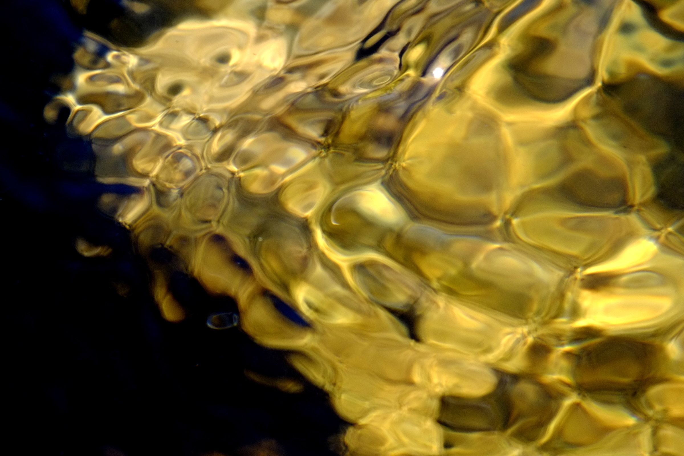 river mosaic, tamron 500 mirror