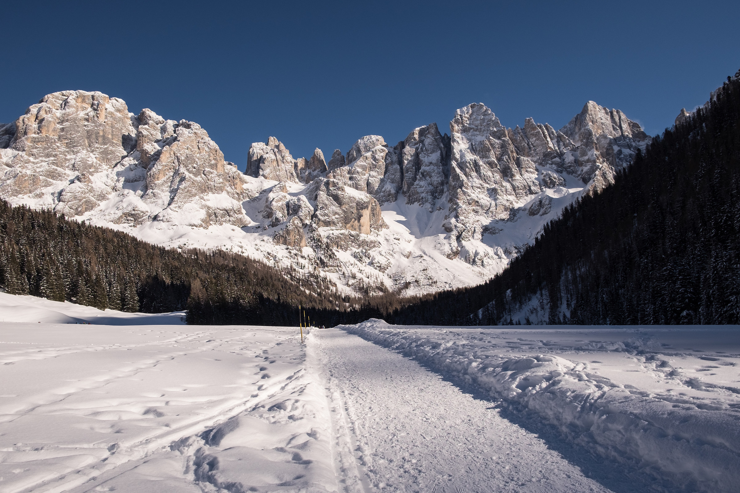 The Pale di San Martino ...