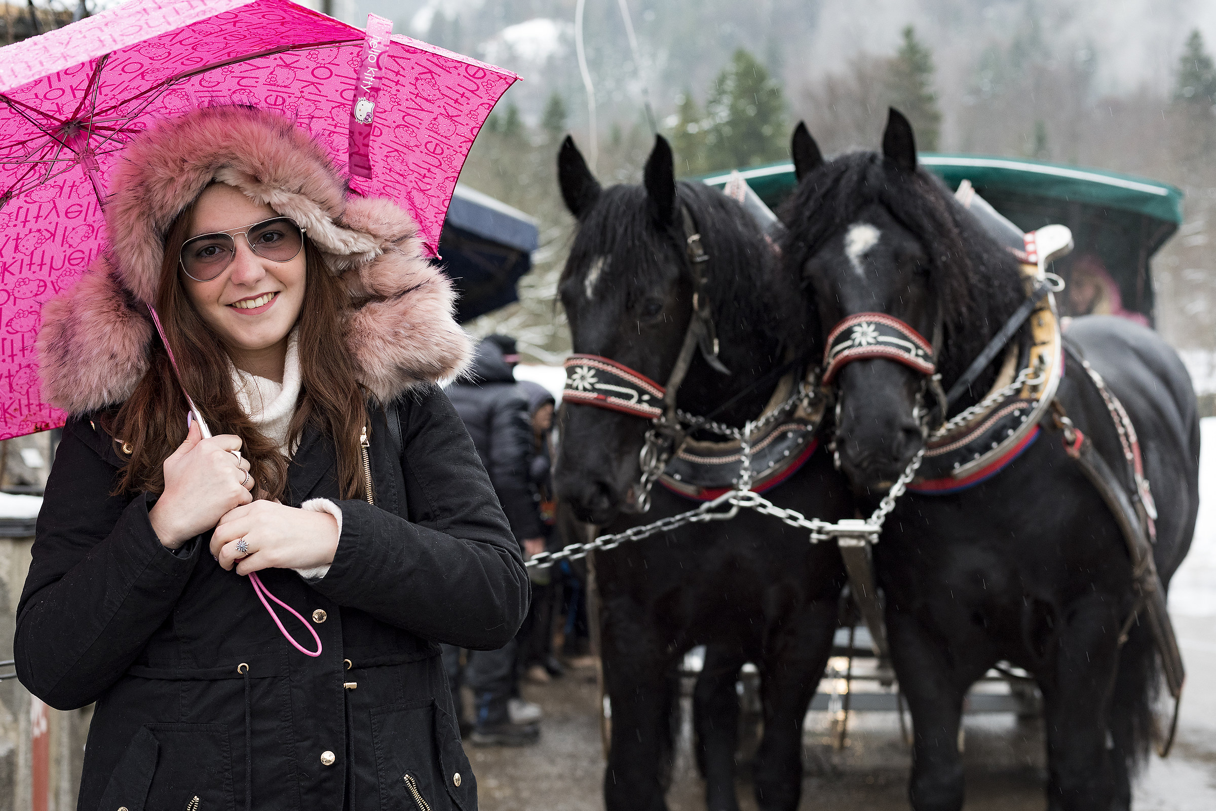 Castelli della Baviera