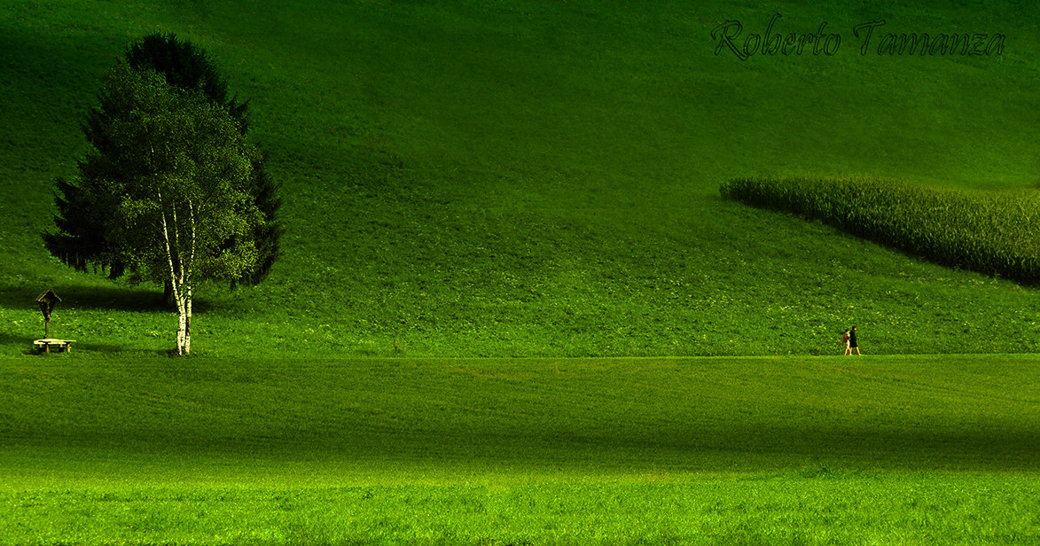 Green...