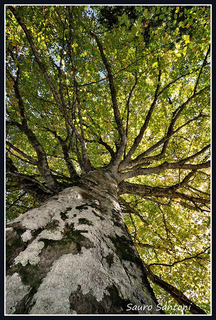 autunno non pervenuto