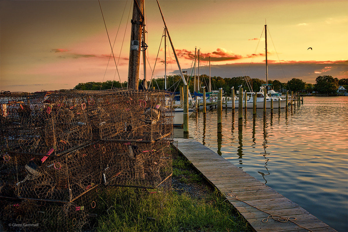 Granchi e barche a vela