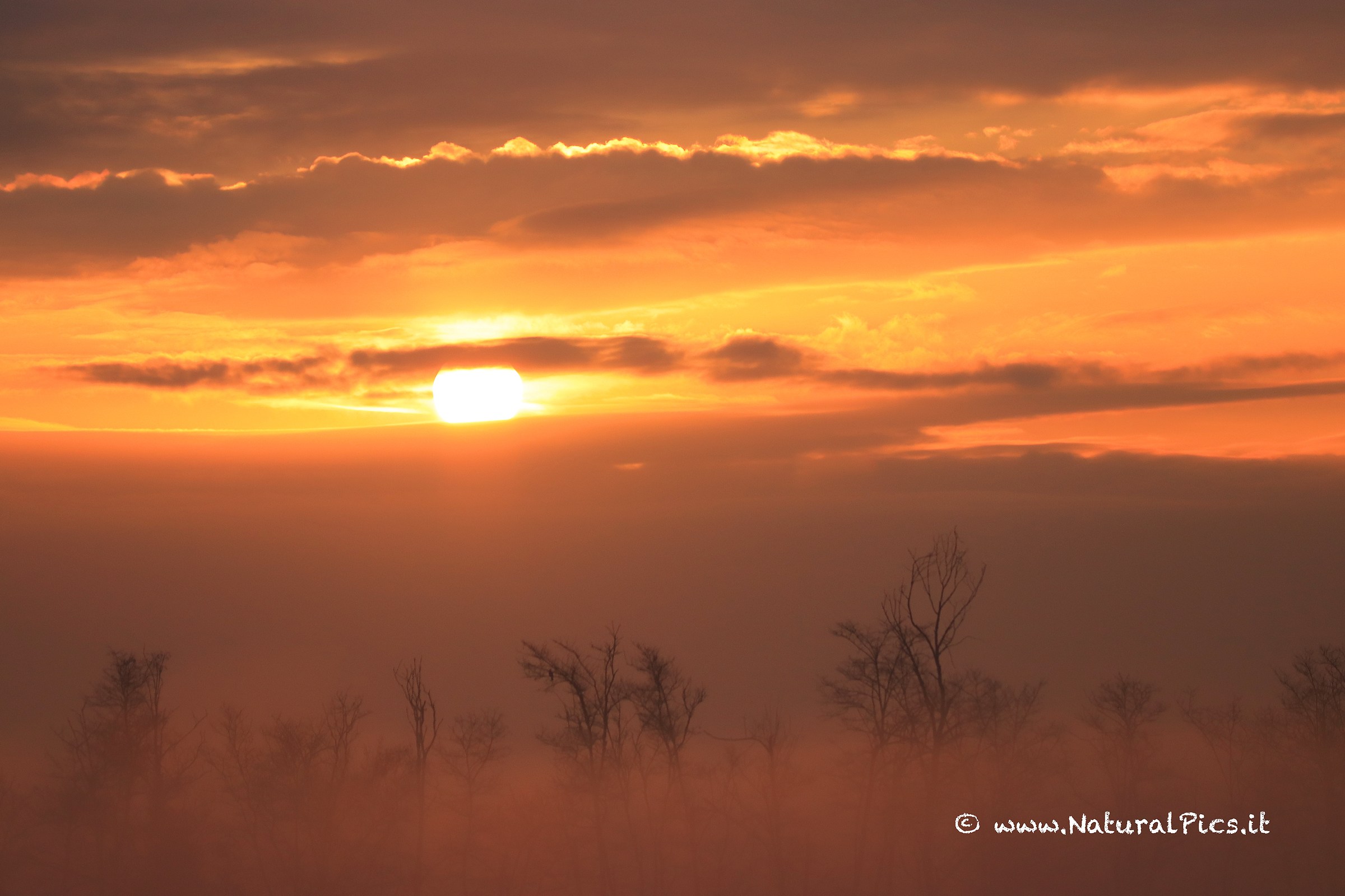 red dawn in the fog