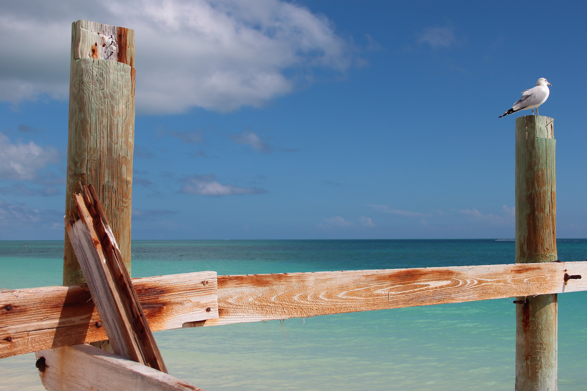 jetty at Freeport, Bahamas