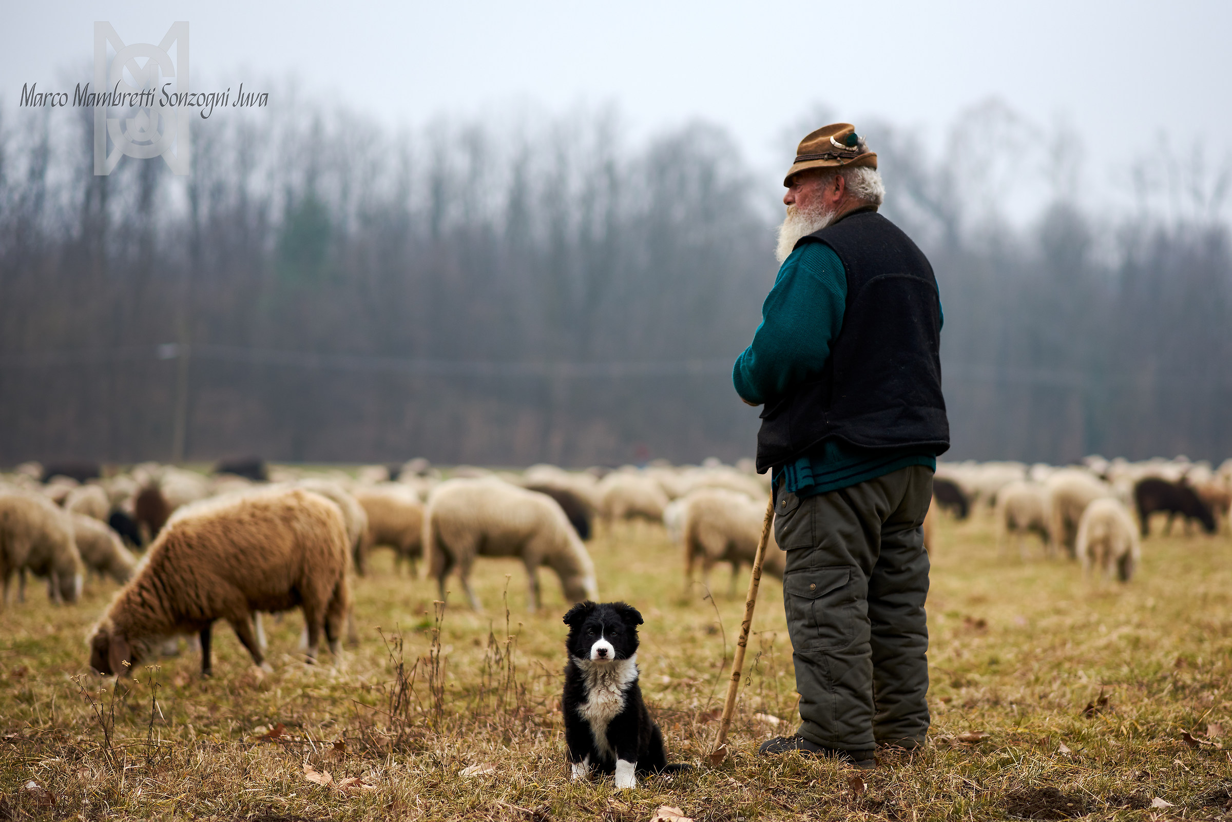 Guarda che ti tengo d'occhio