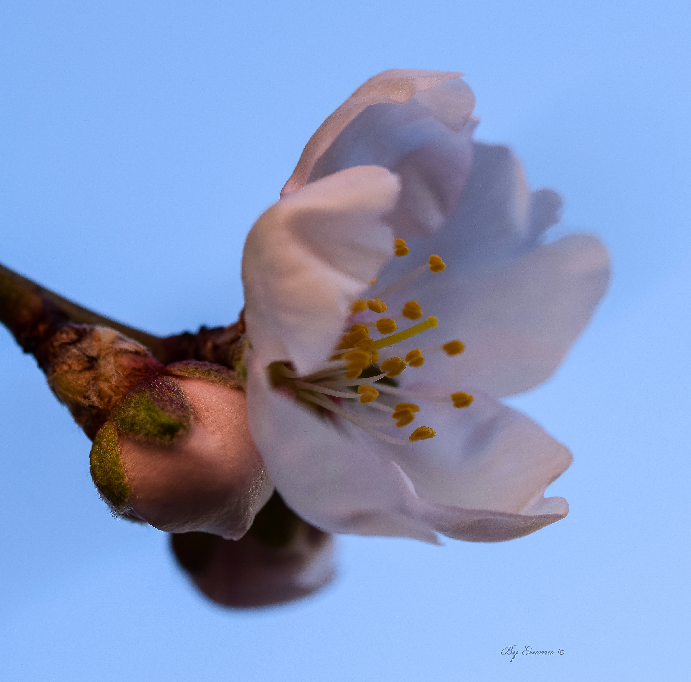 Spring is approaching