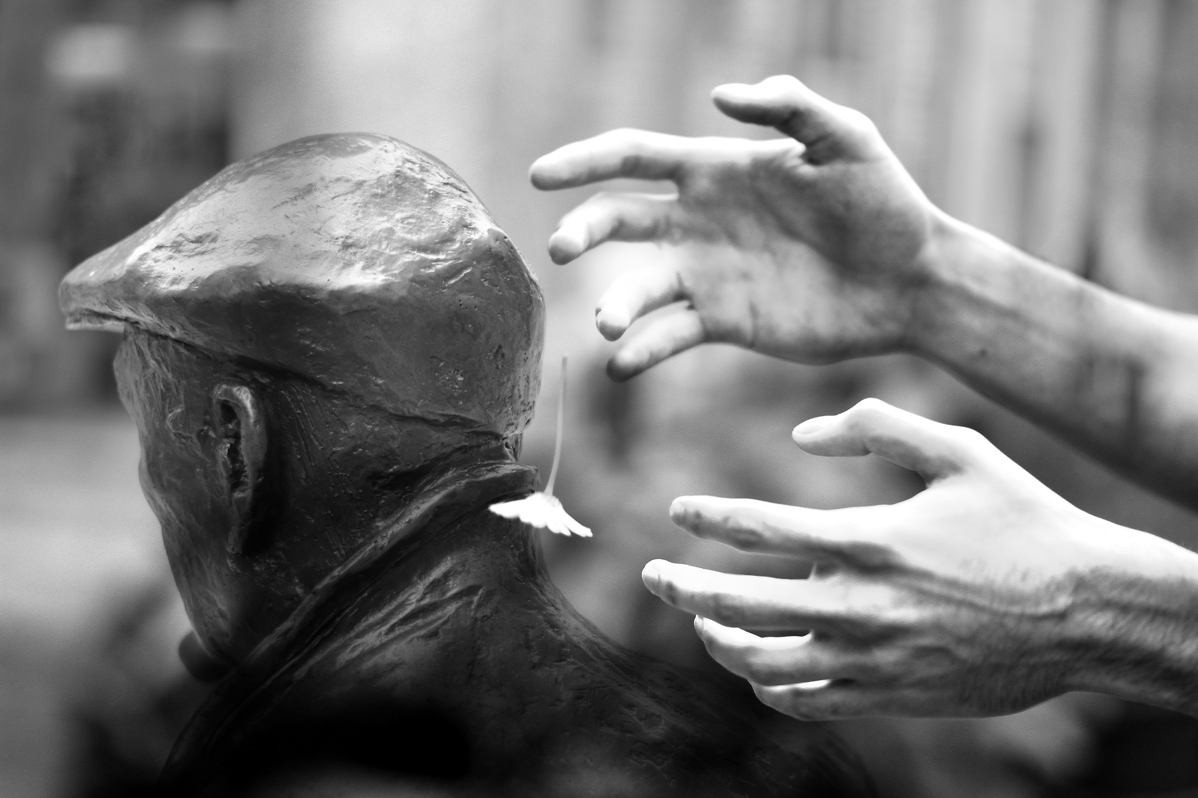 la scontrosa grazia di Trieste