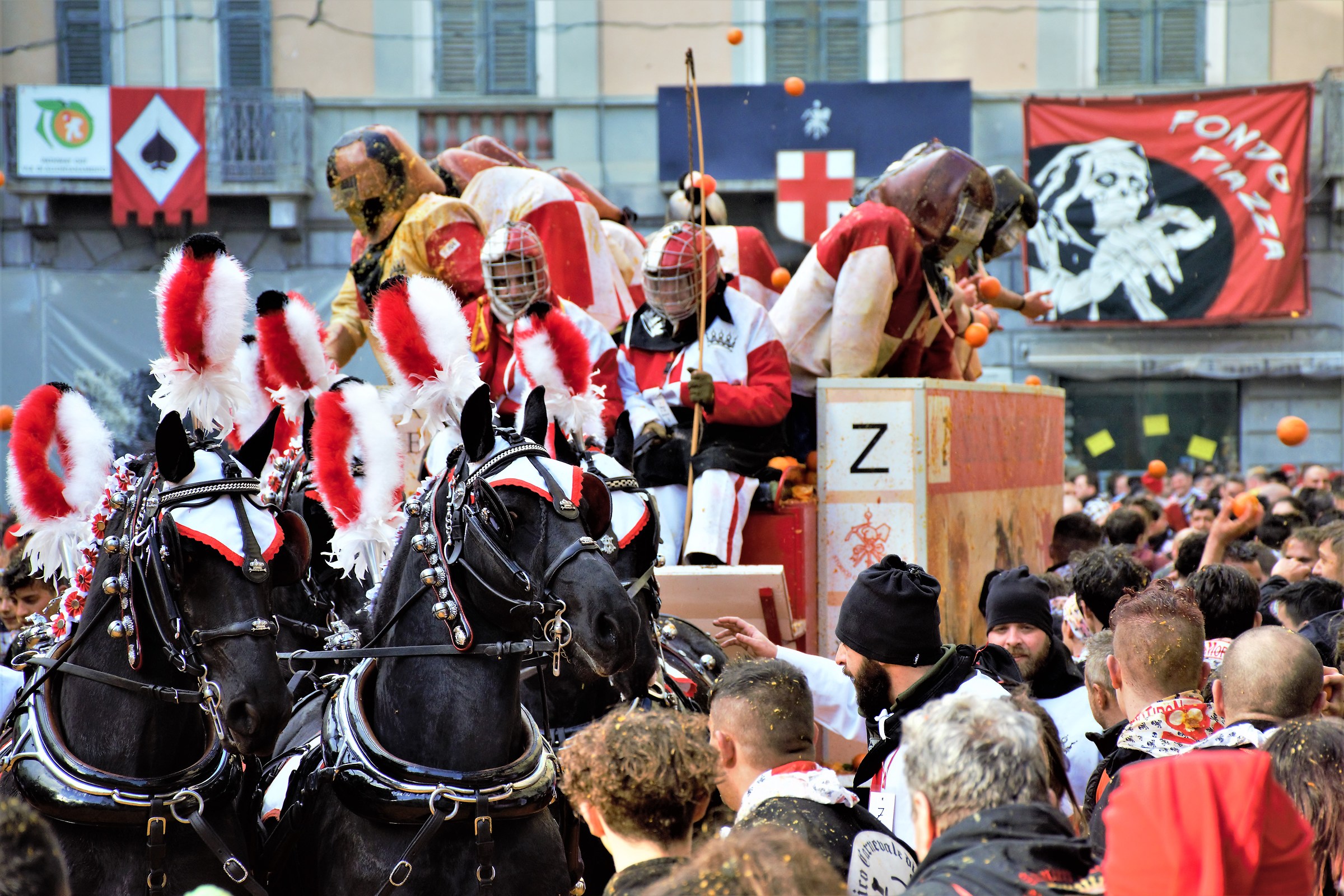 "Sono pazzi questi umani" ...pensano i cavalli