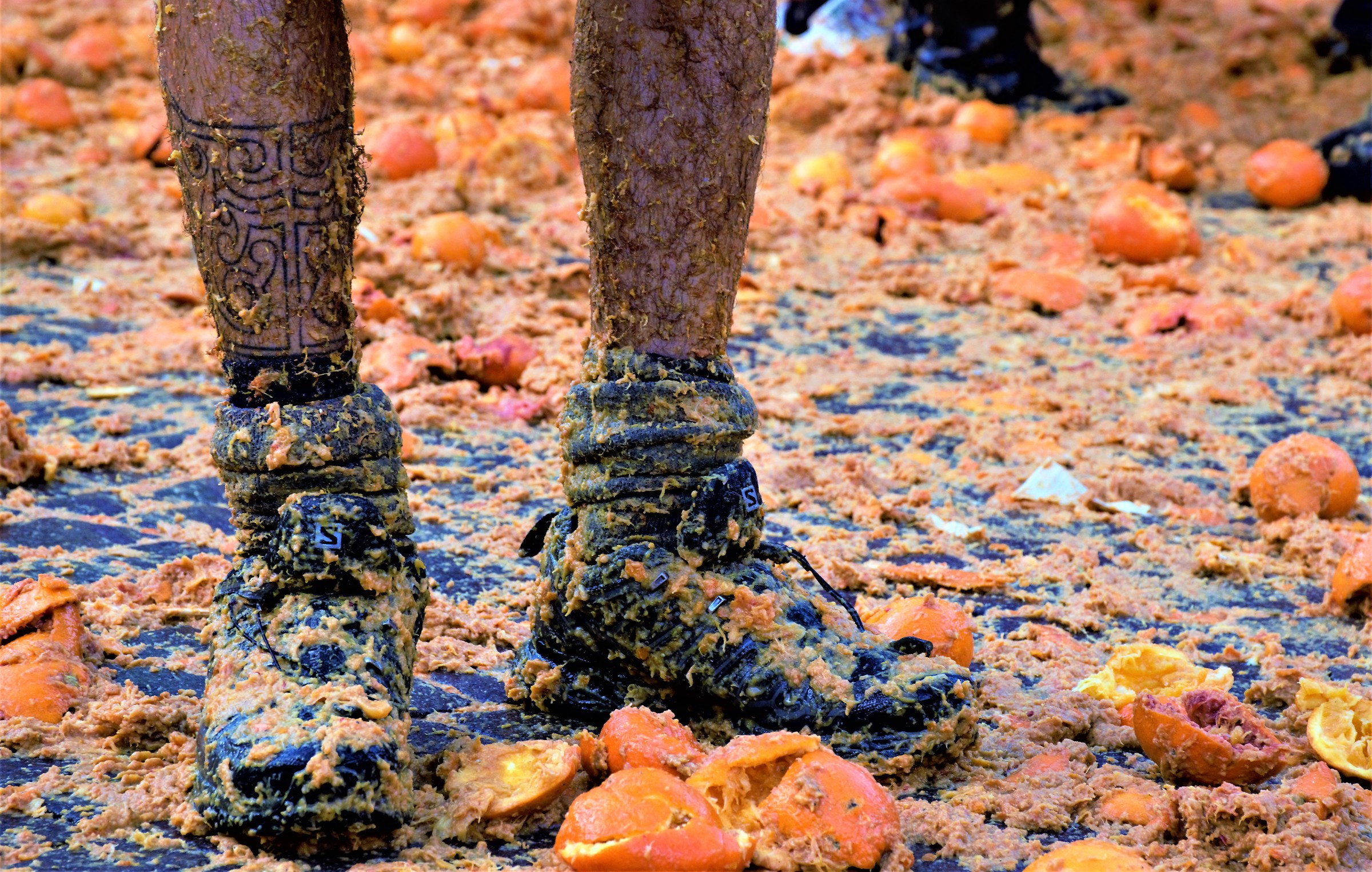 Di sicuro ho partecipato anch'io alla battaglia...