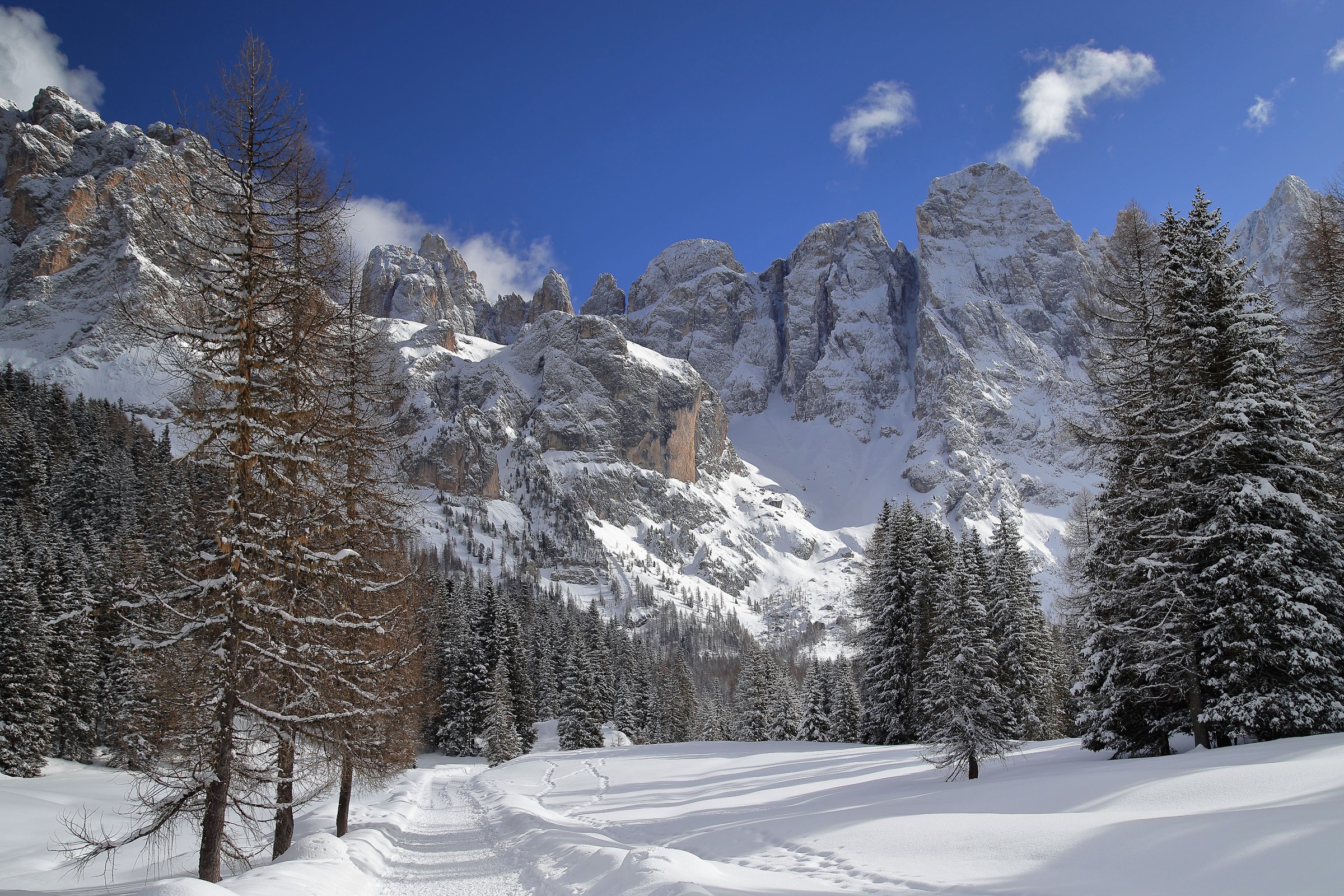 Val Venegia