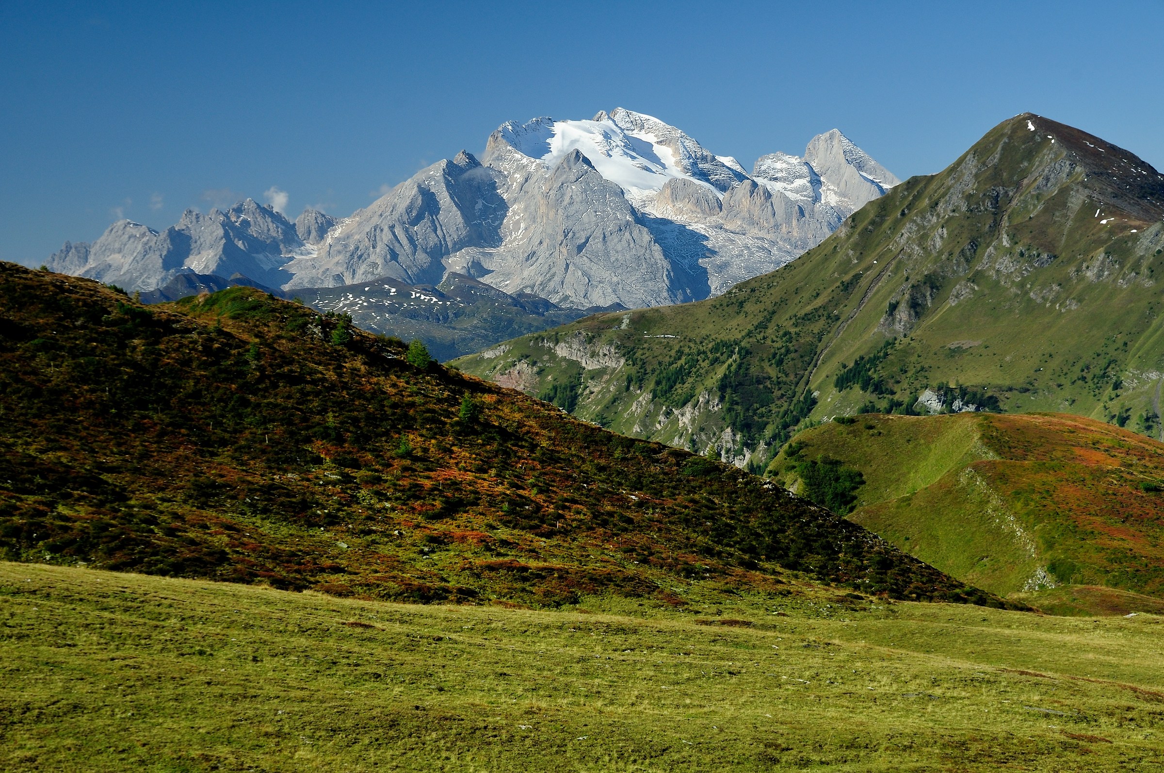 Marmolada