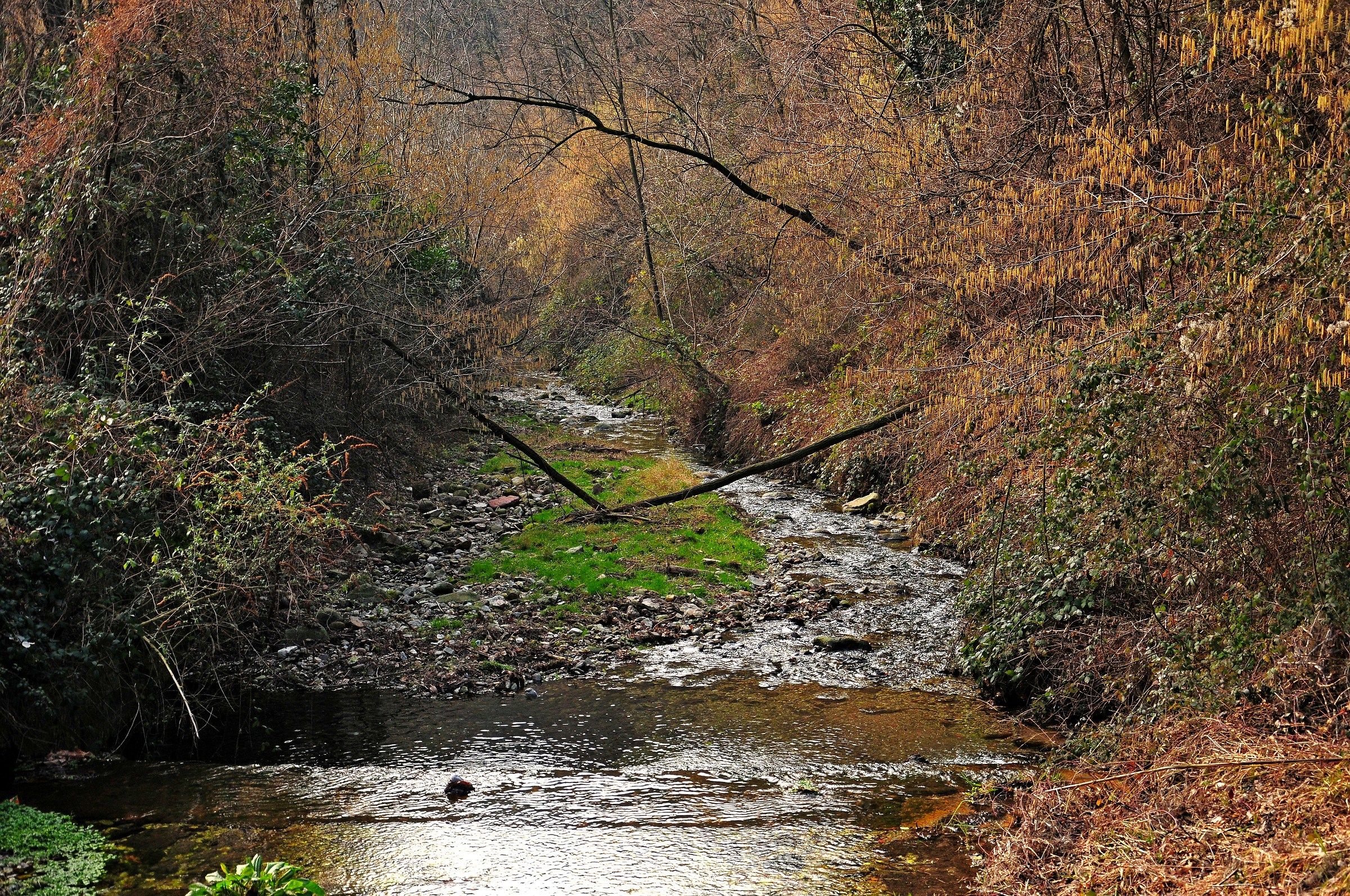 il fiume Olona dopo i "Mulini Grassi"