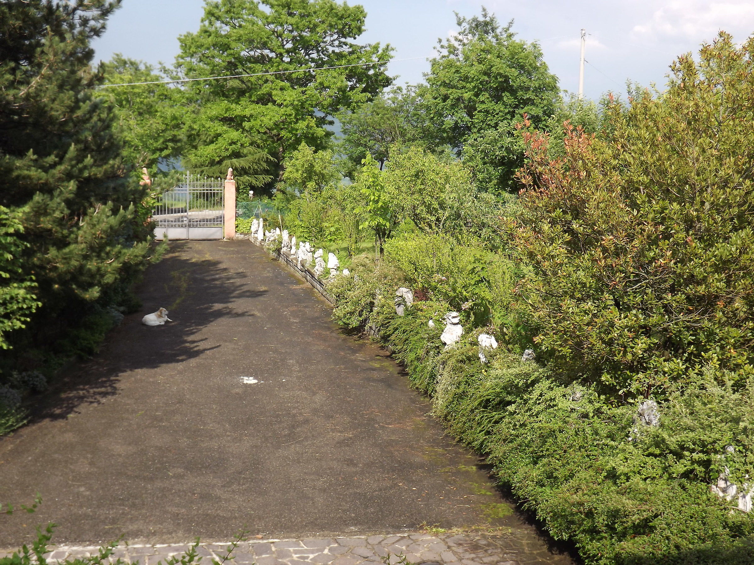 Valbucciana -Villa Minozzo (re)