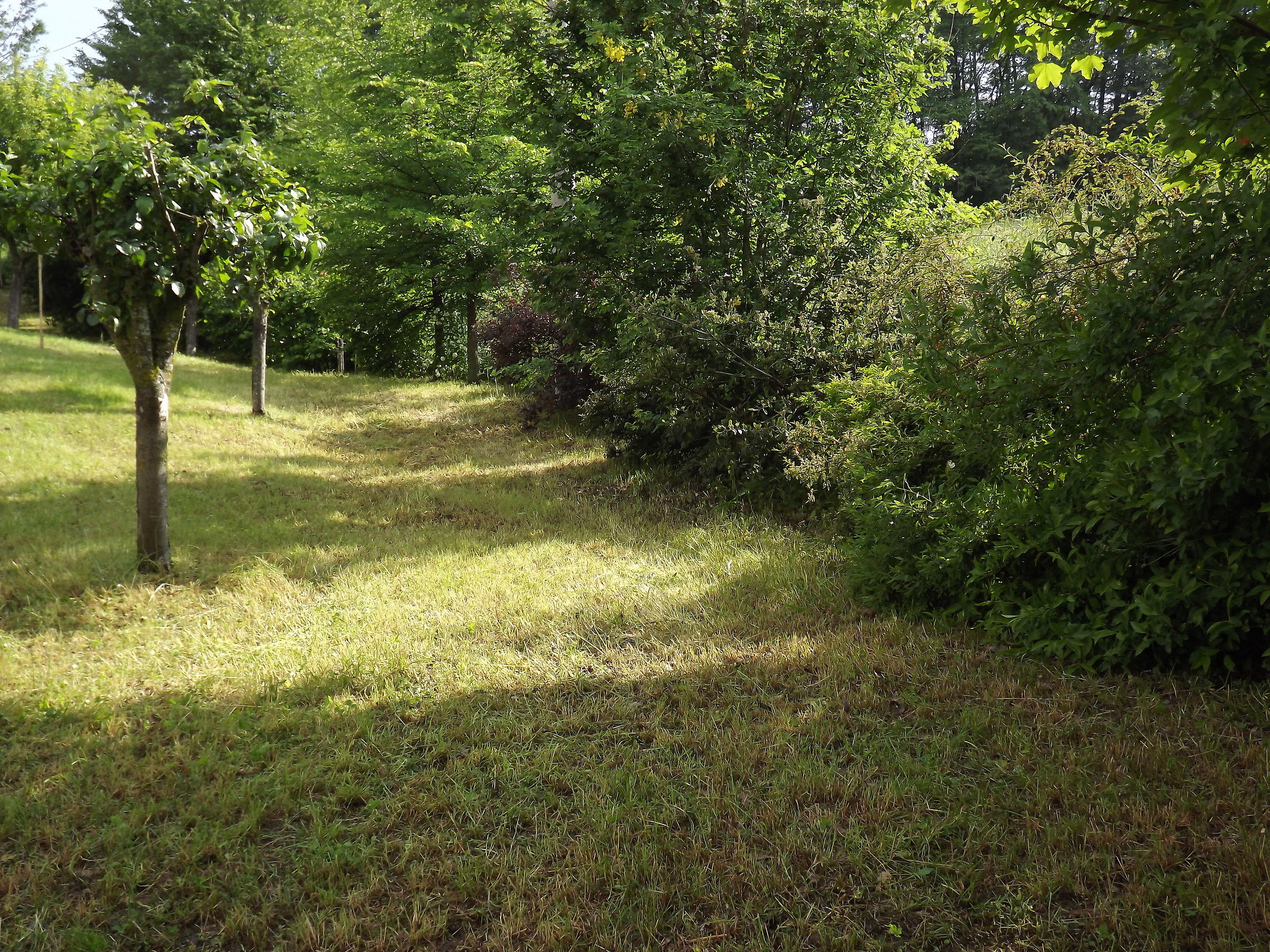 Valbucciana Villa Minozzo  (re)